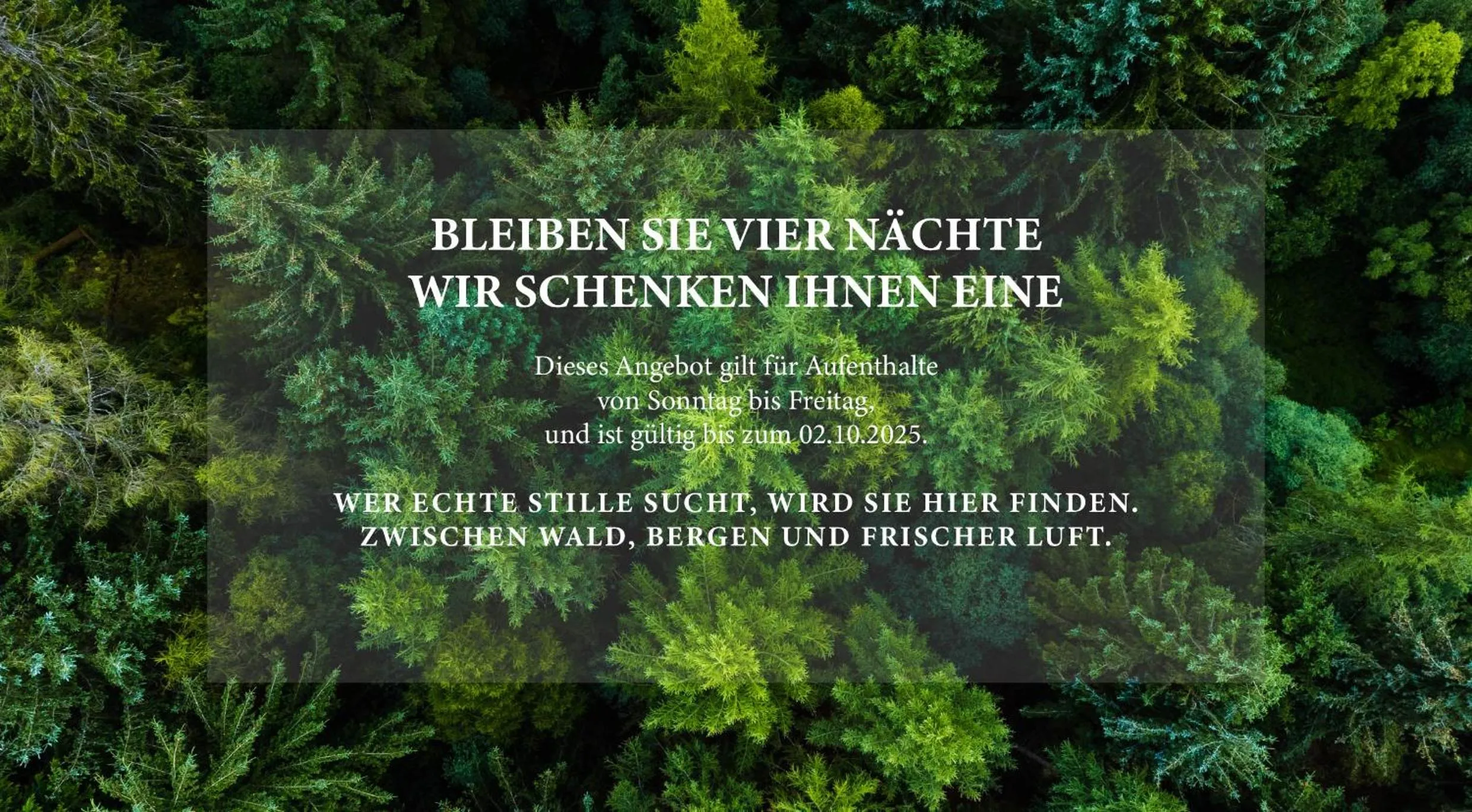 Berghotel Friedrichshöhe - Sauna, Pool & Natur