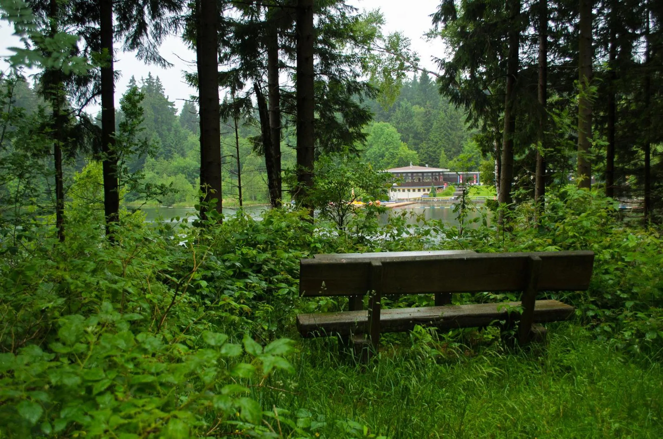 Hiking in Hotel Waldrausch