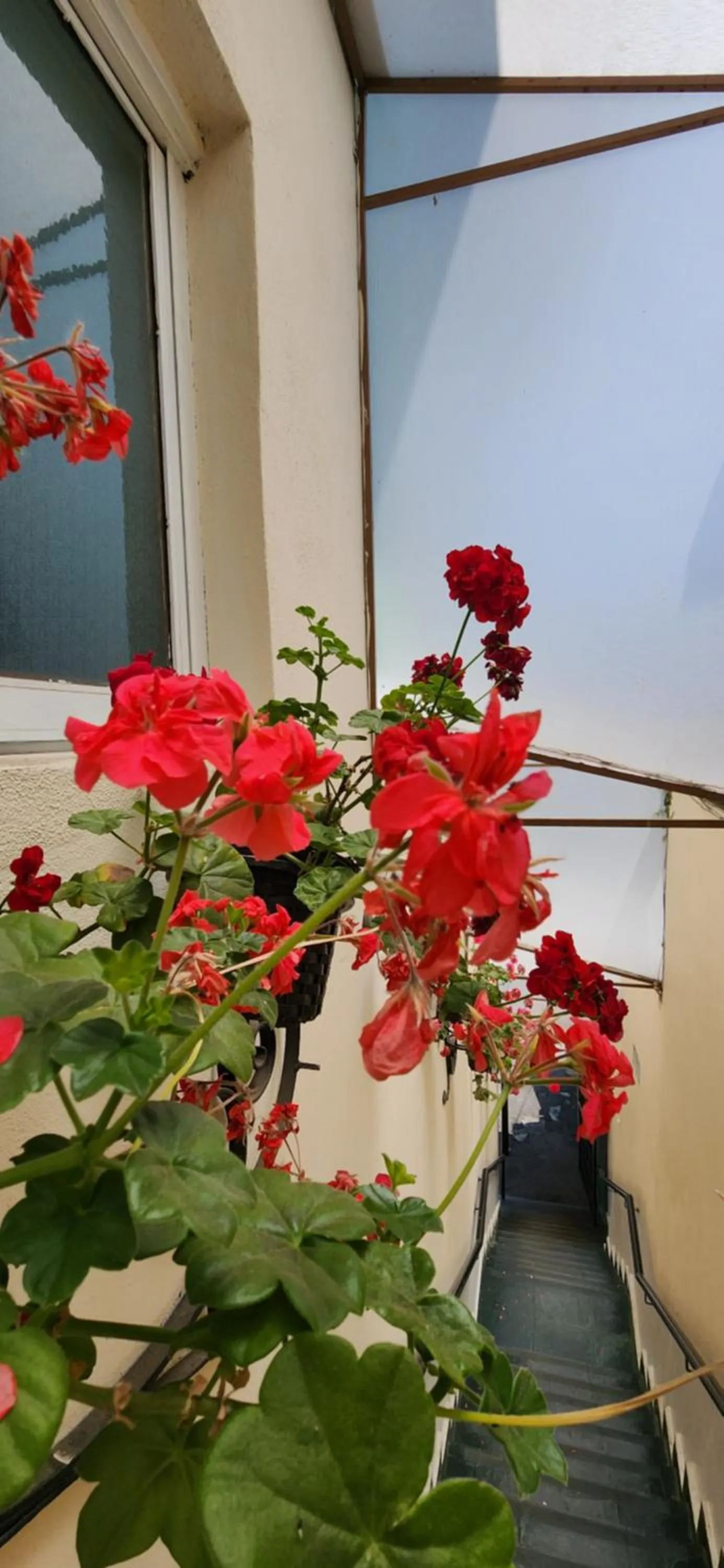 Property building in Pousada Araucária