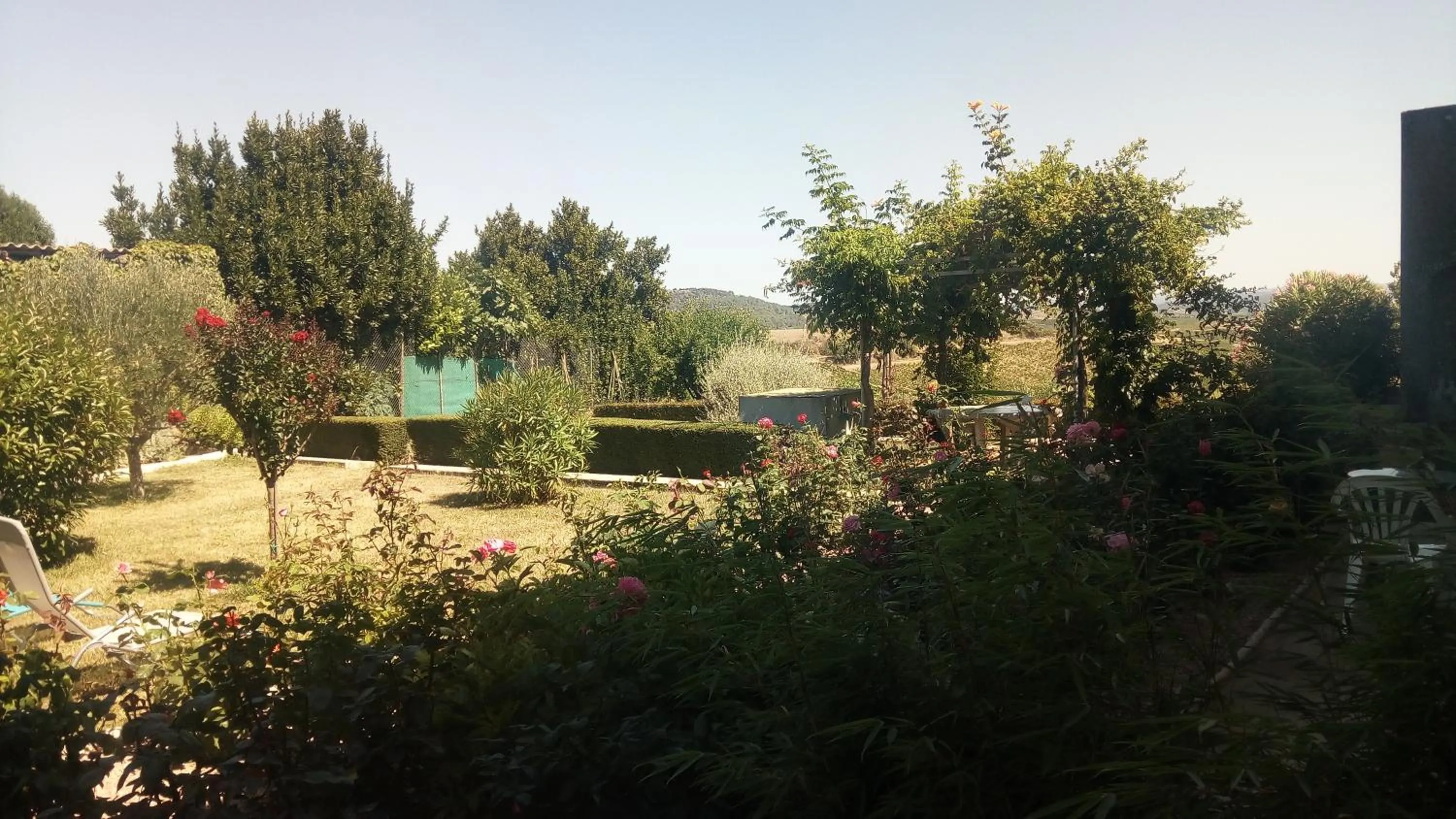 View (from property/room) in La Vigneronne