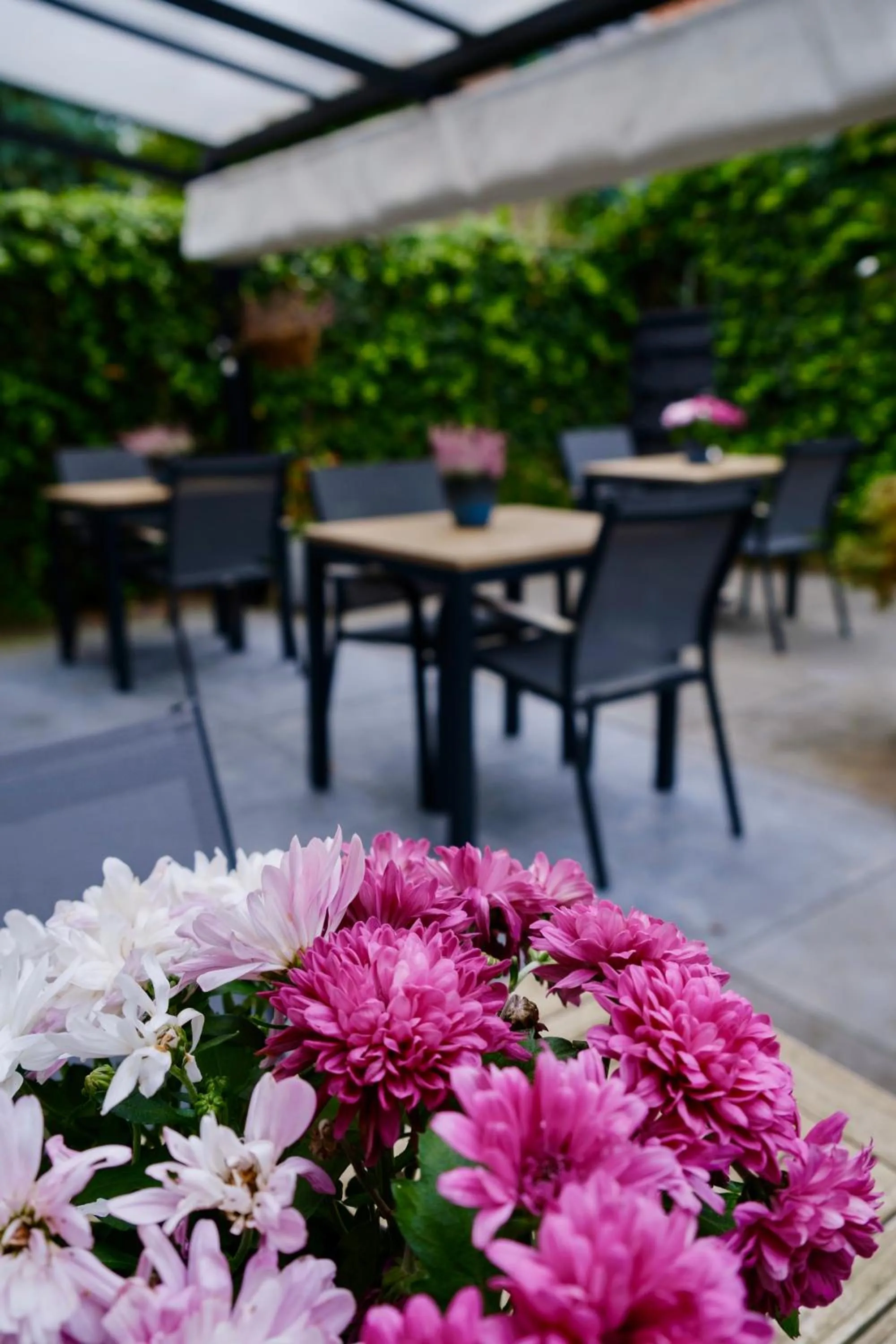 Garden in B&B De Mansarde