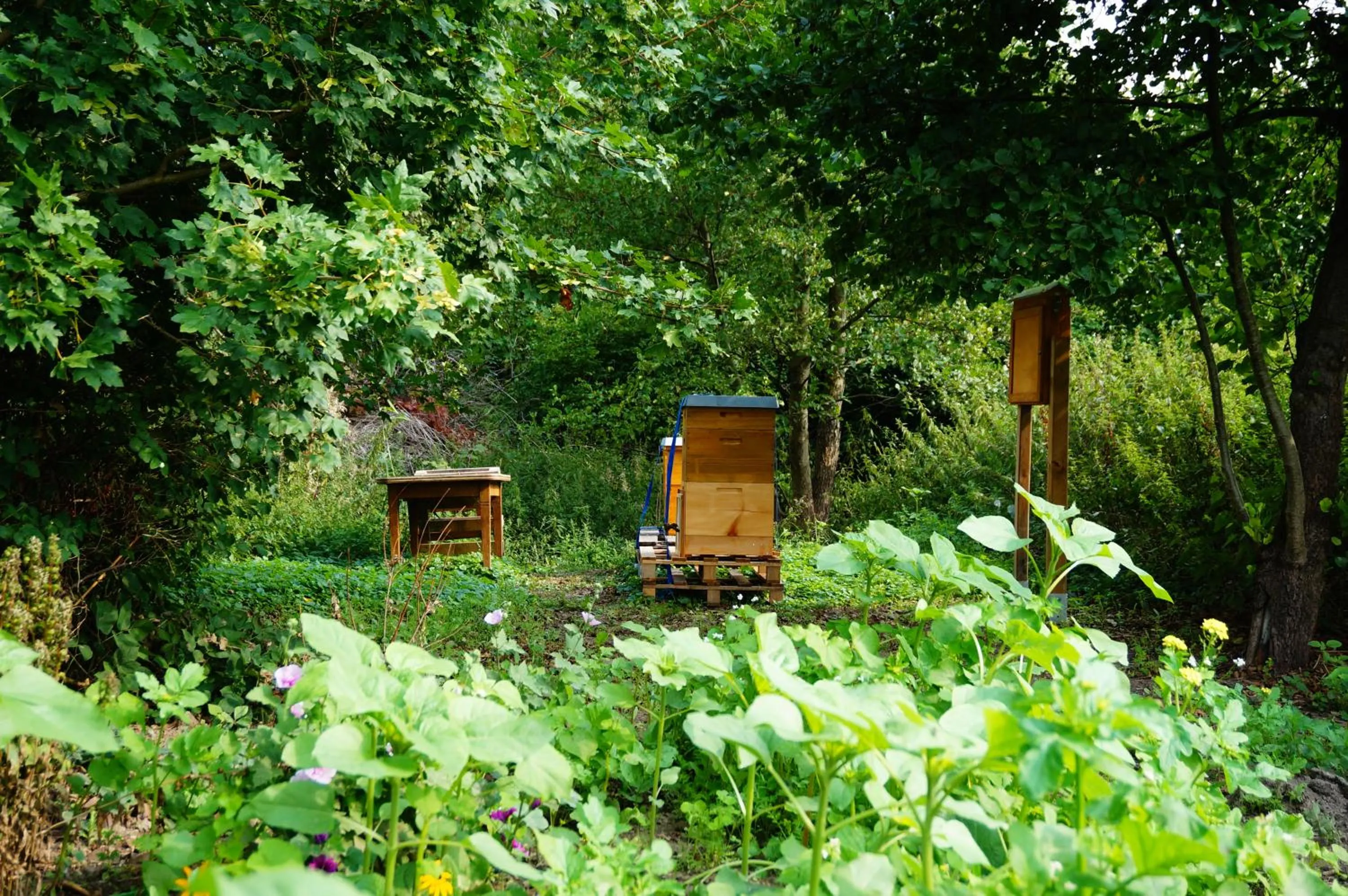 Animals in Hotel am Tierpark