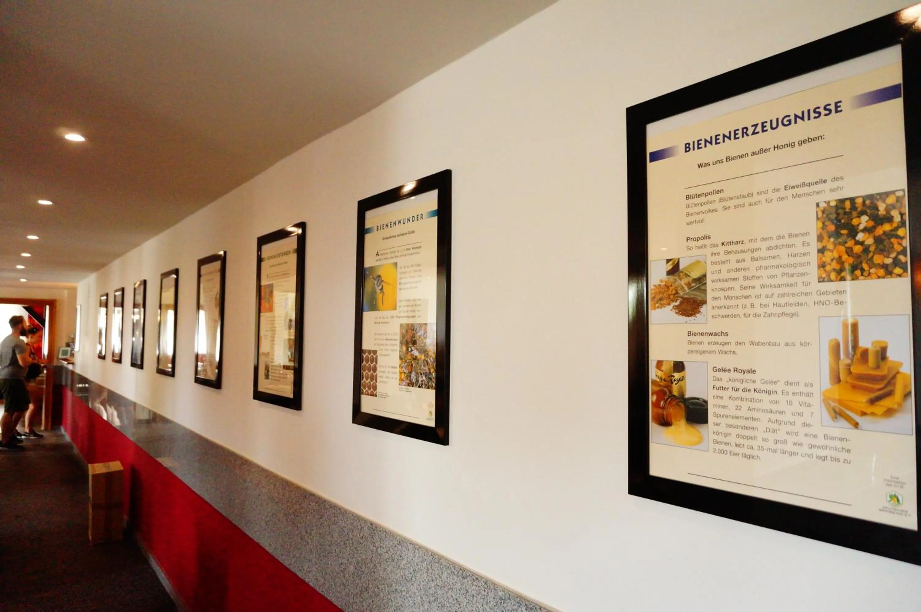 Decorative detail in Hotel am Tierpark