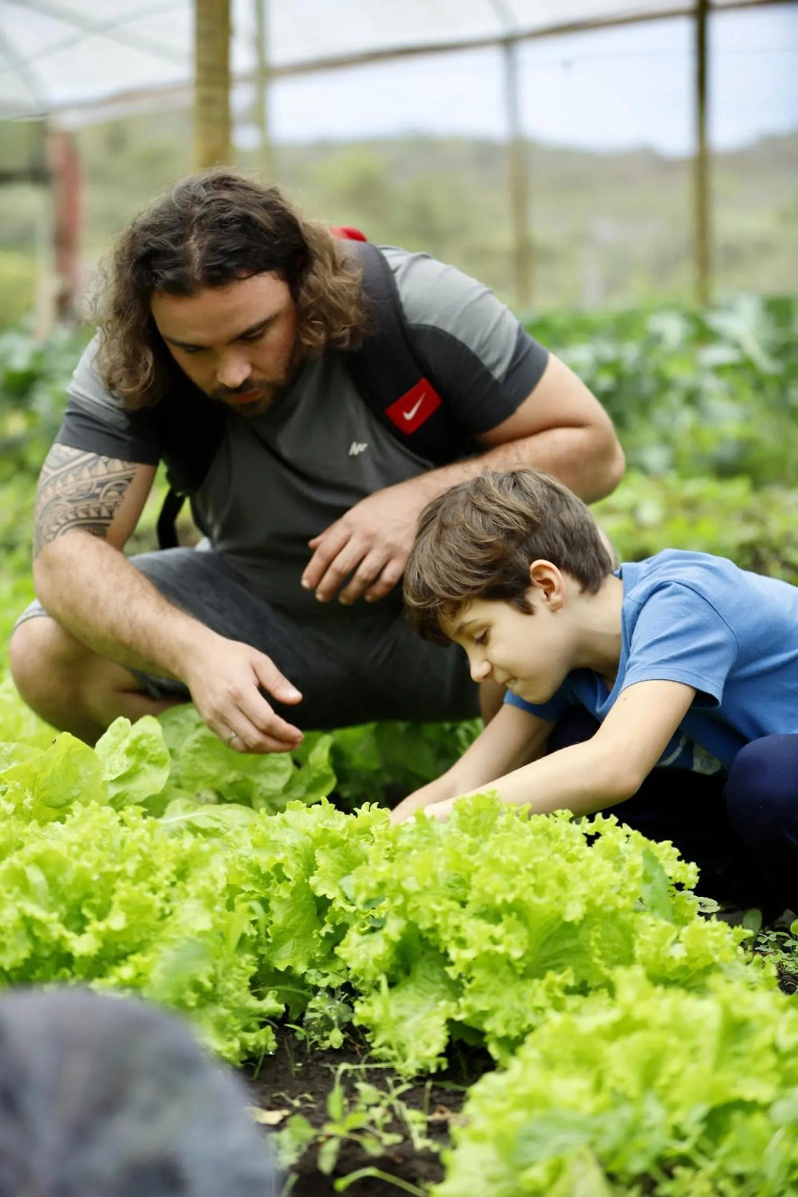 Day in Hotel Fazenda Morros Verdes Ecolodge