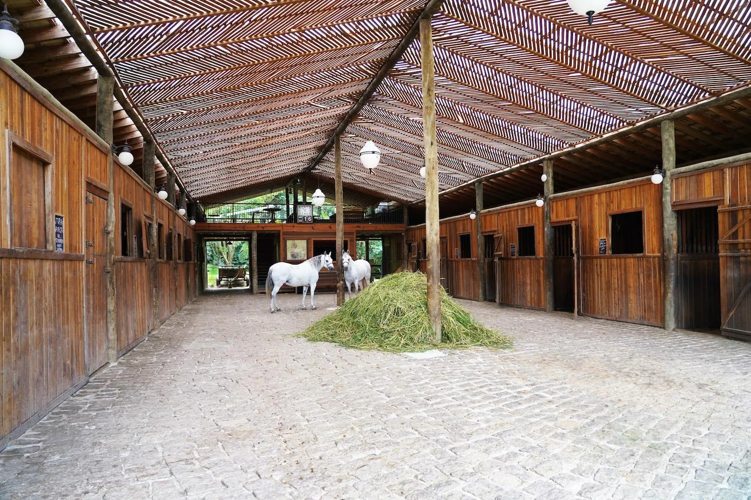 Horse-riding in Hotel Fazenda Morros Verdes Ecolodge