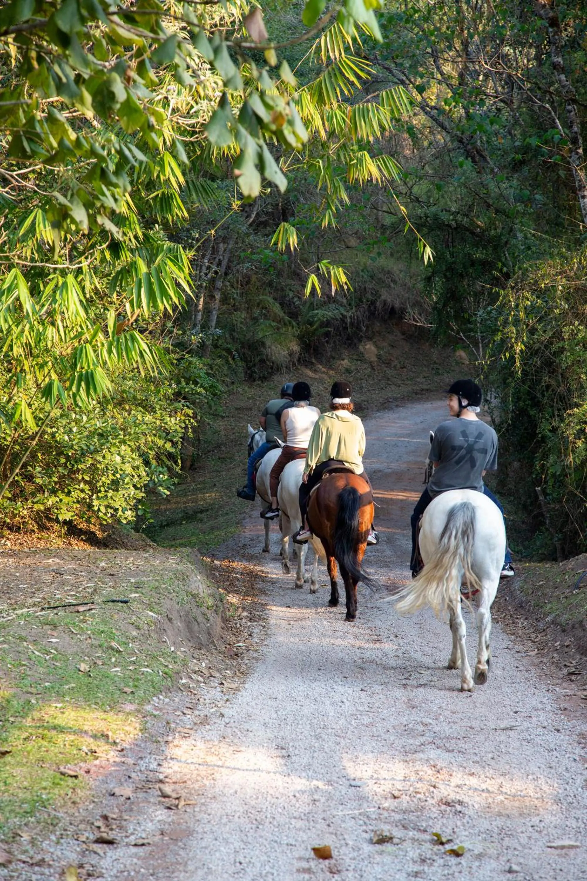 Horse-riding in Hotel Fazenda Morros Verdes Ecolodge