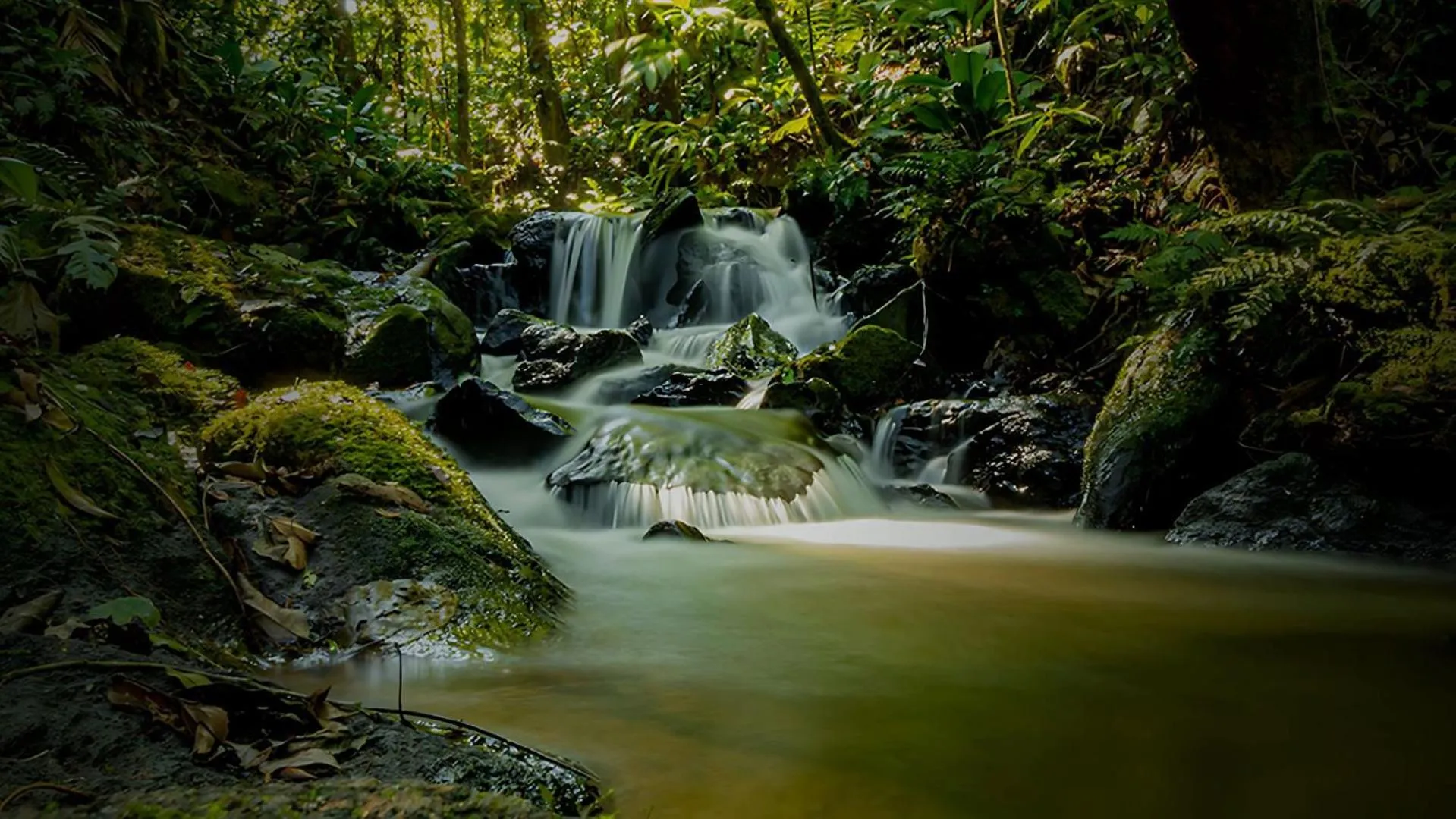 Hiking in Hotel Fazenda Morros Verdes Ecolodge