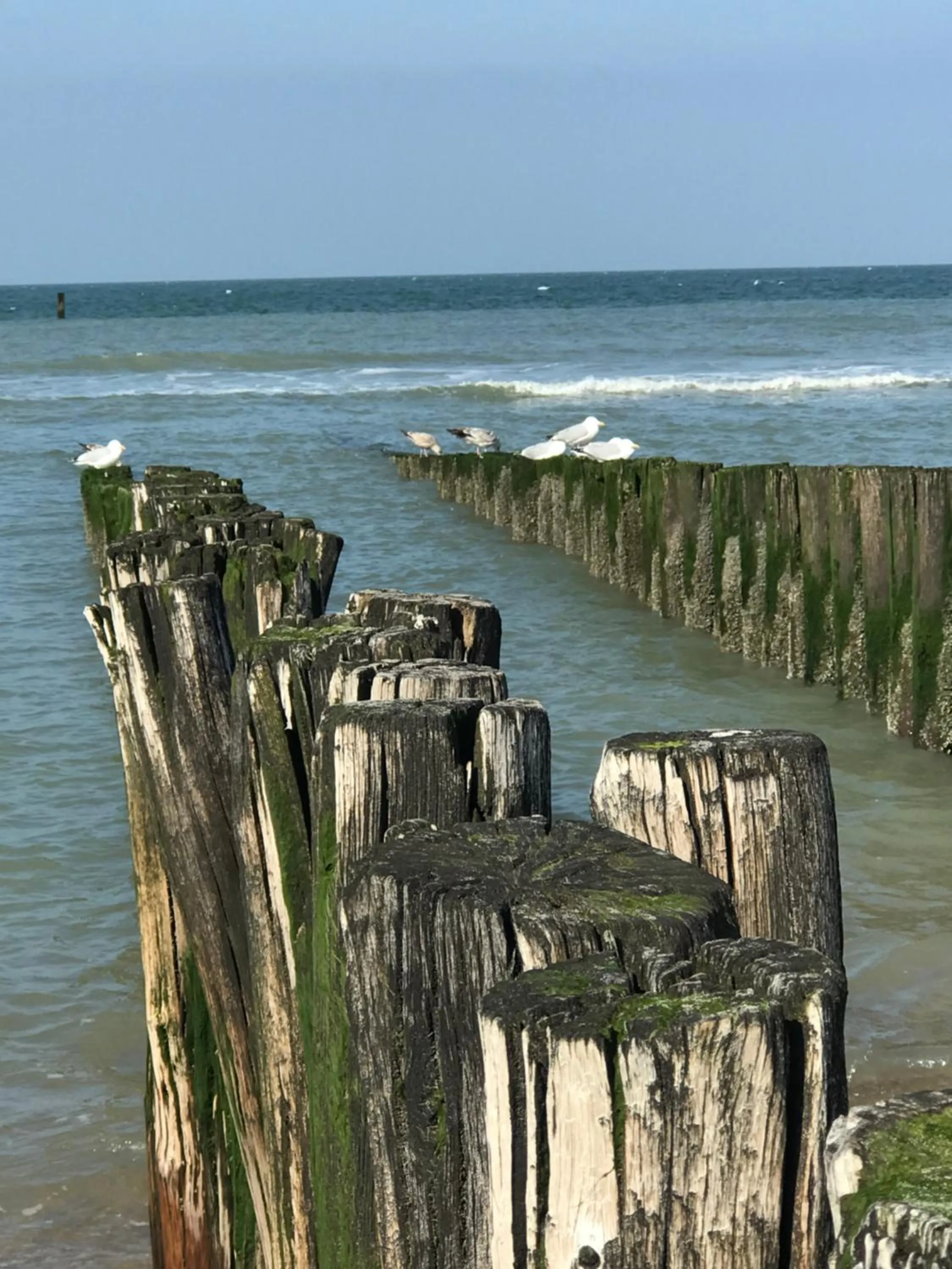B&B Zee van Tijd Domburg