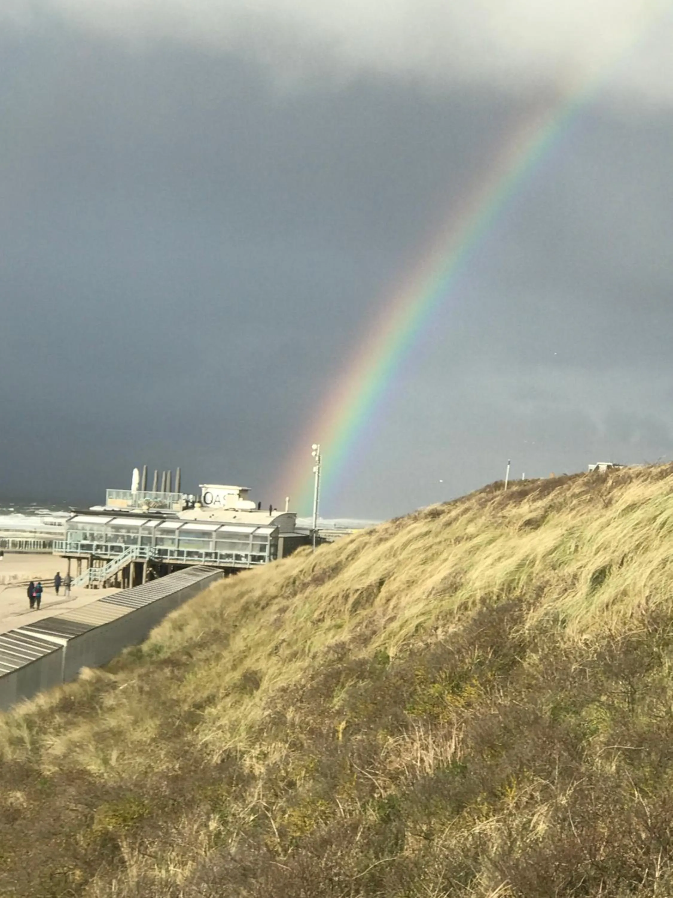 View (from property/room) in B&B Zee van Tijd Domburg