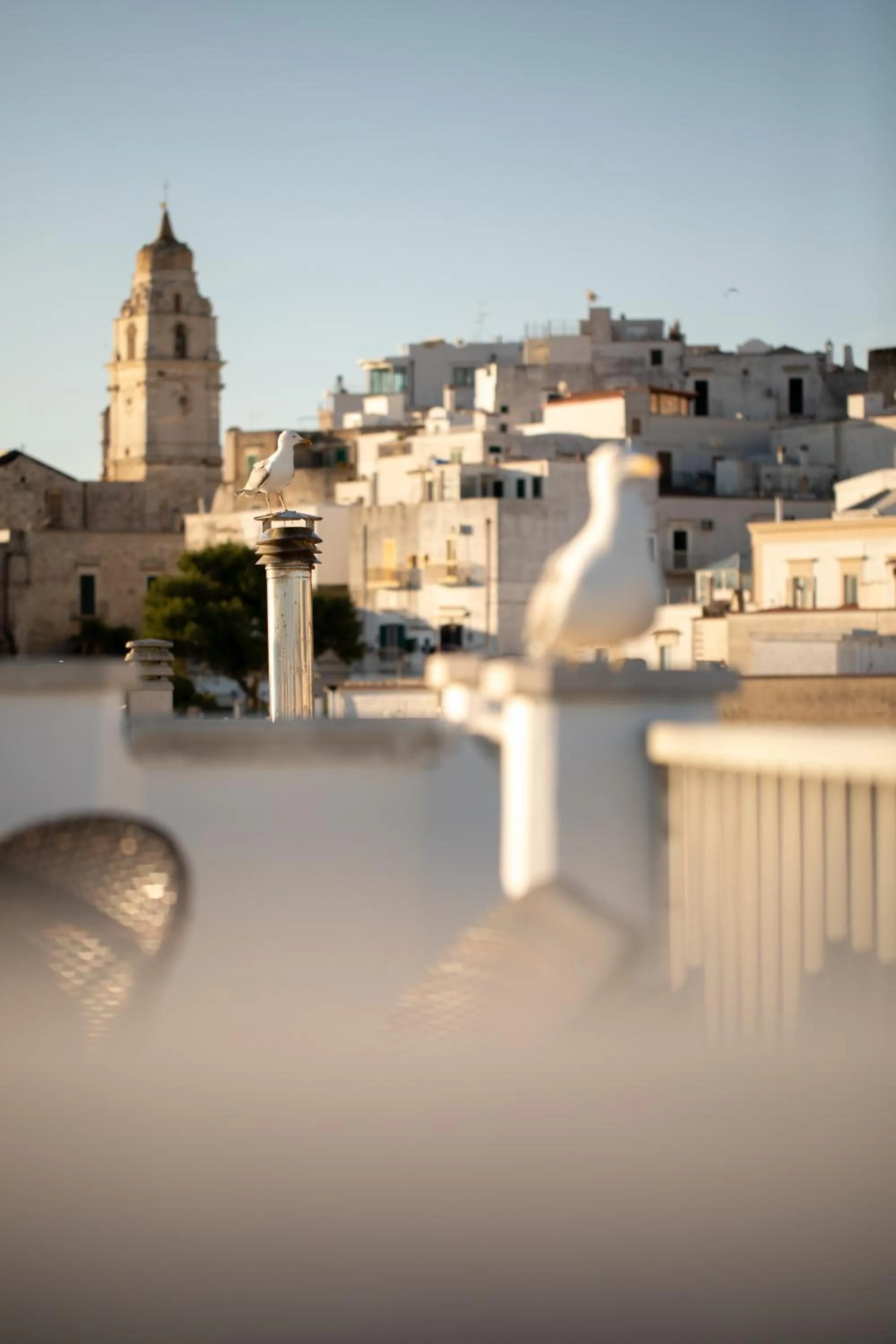 Activities in Viesthouse B&B