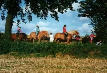 Horse-riding, Other Animals in Neukirchener Hof