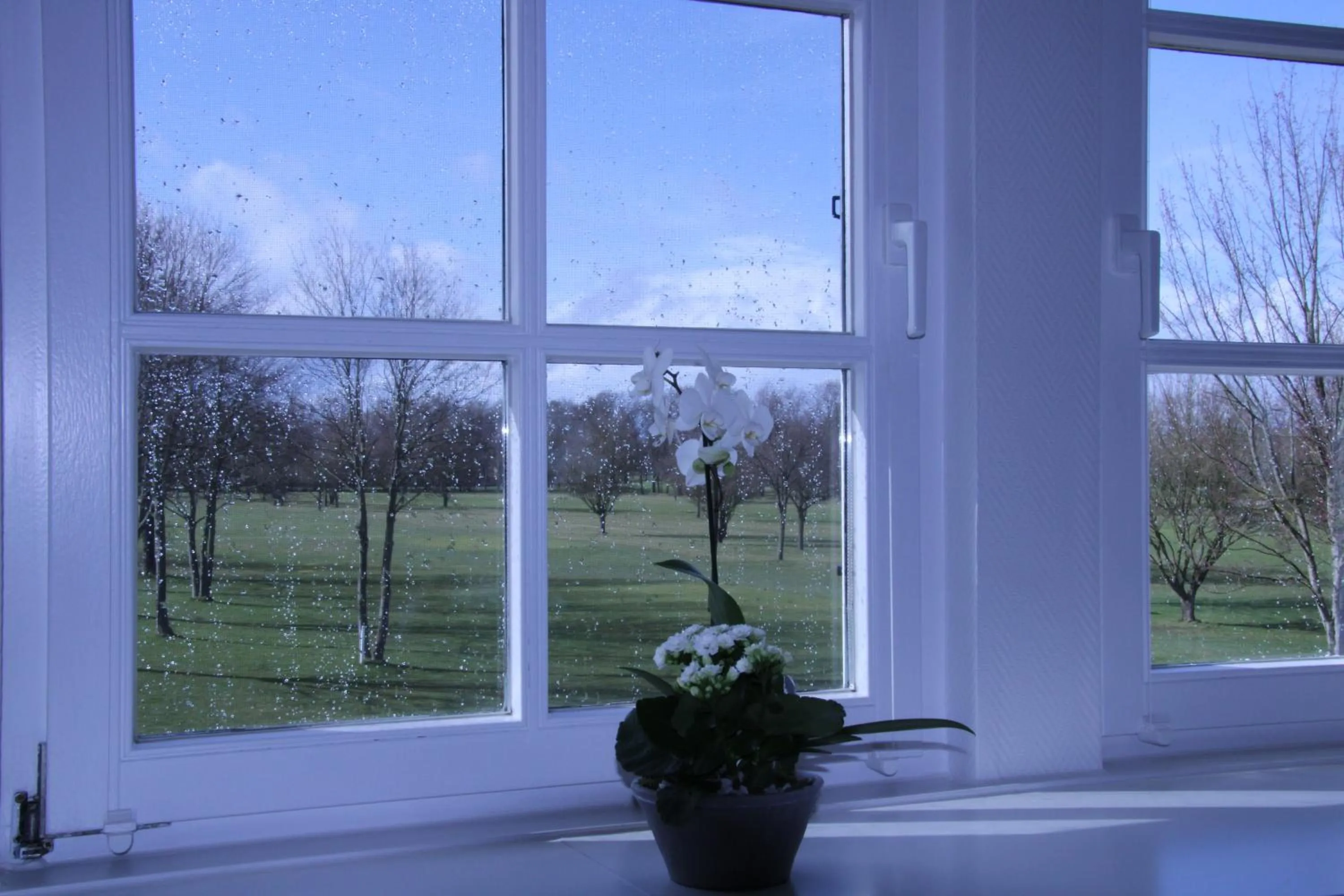 Garden view in Landhaus am Golfpark Inhaber Marko Nolden