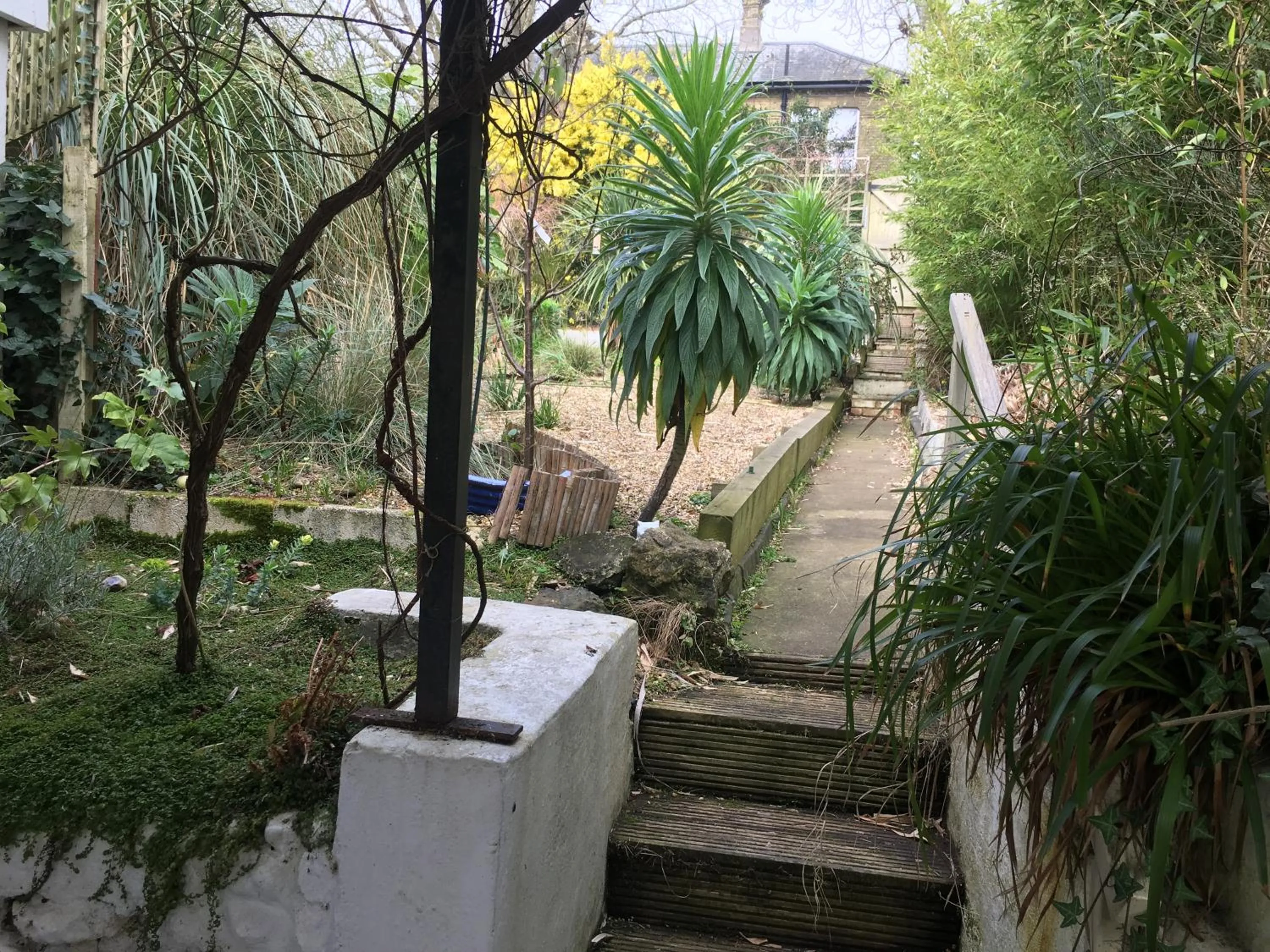 Garden view in The Chestnuts