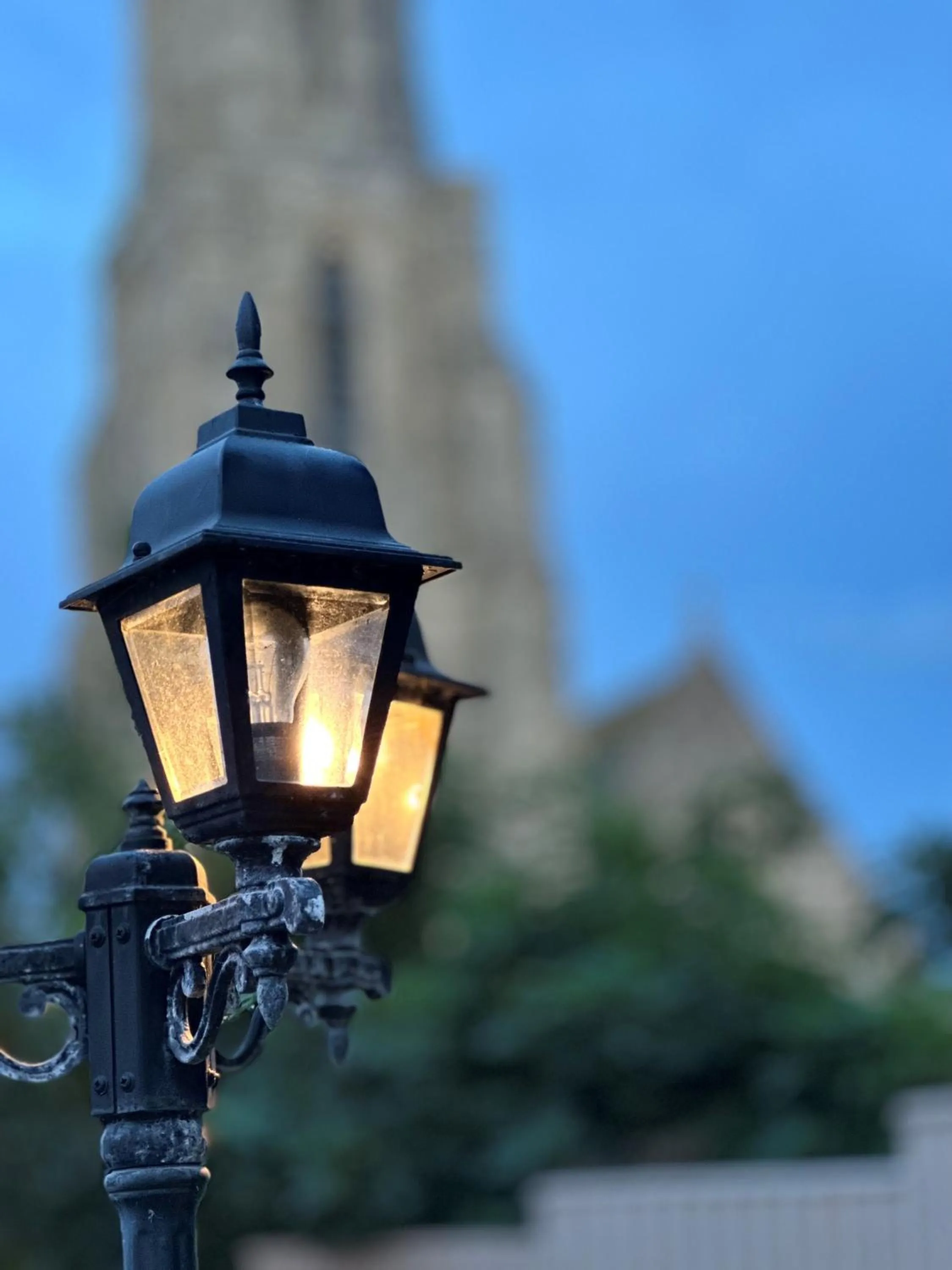 Garden in The Q Hotel
