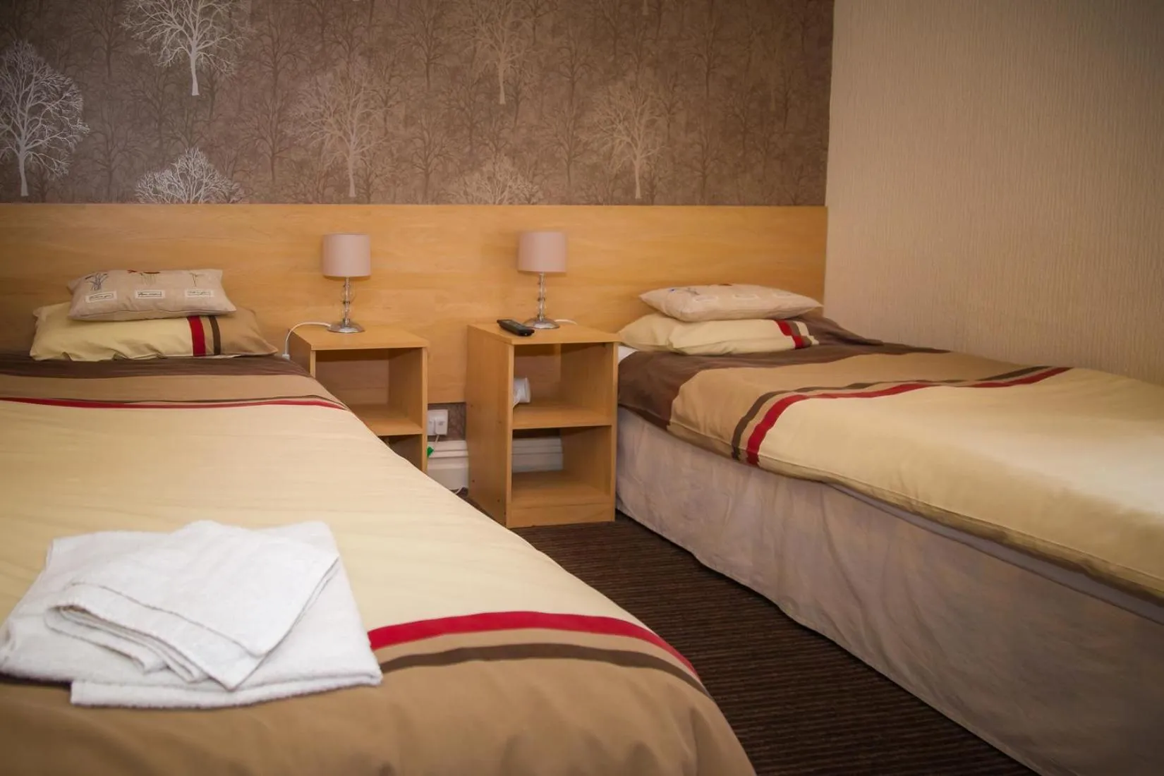 Twin Room in The Penrhyn
