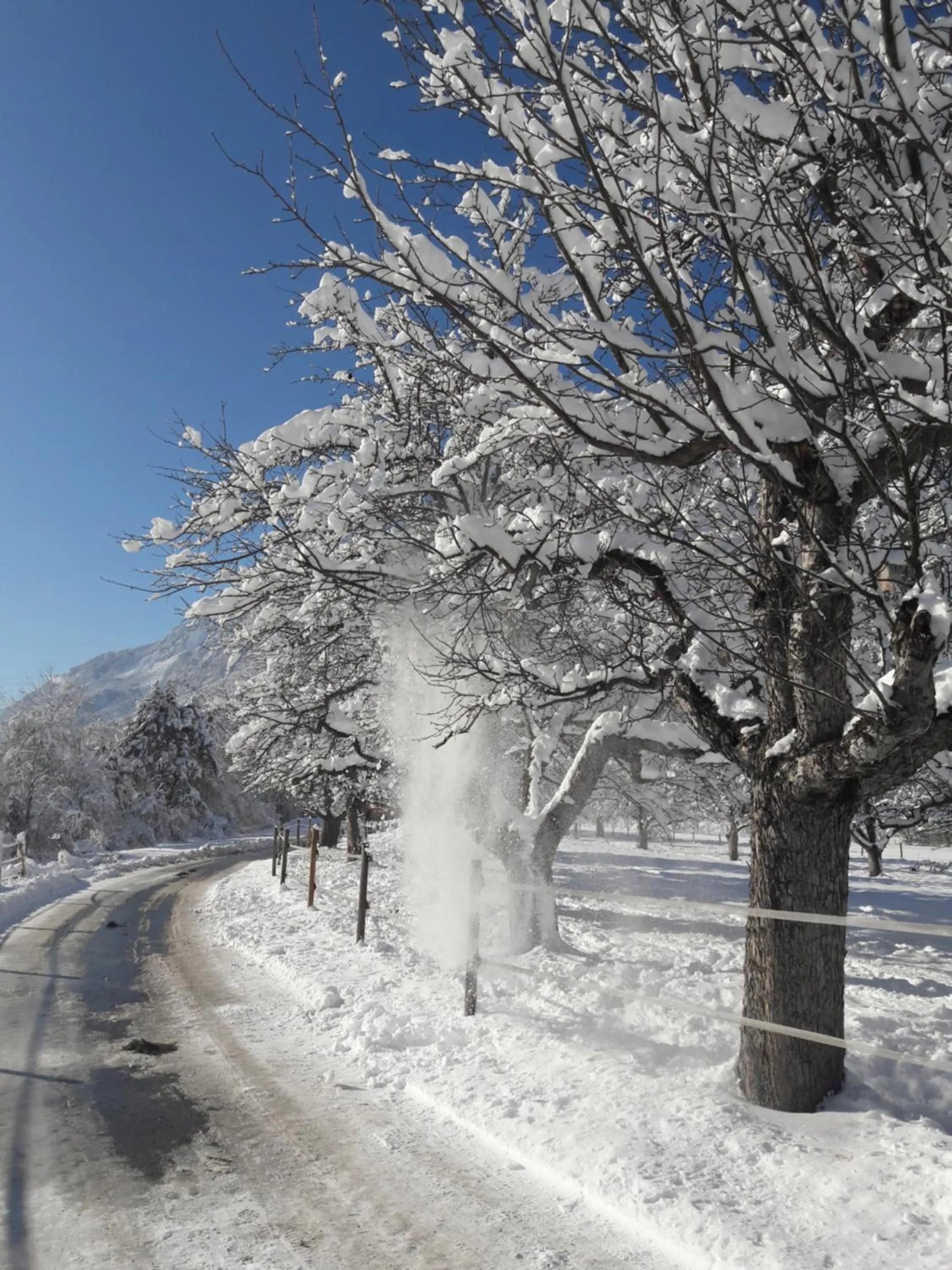 Natural landscape in Hotel Garni Löwen