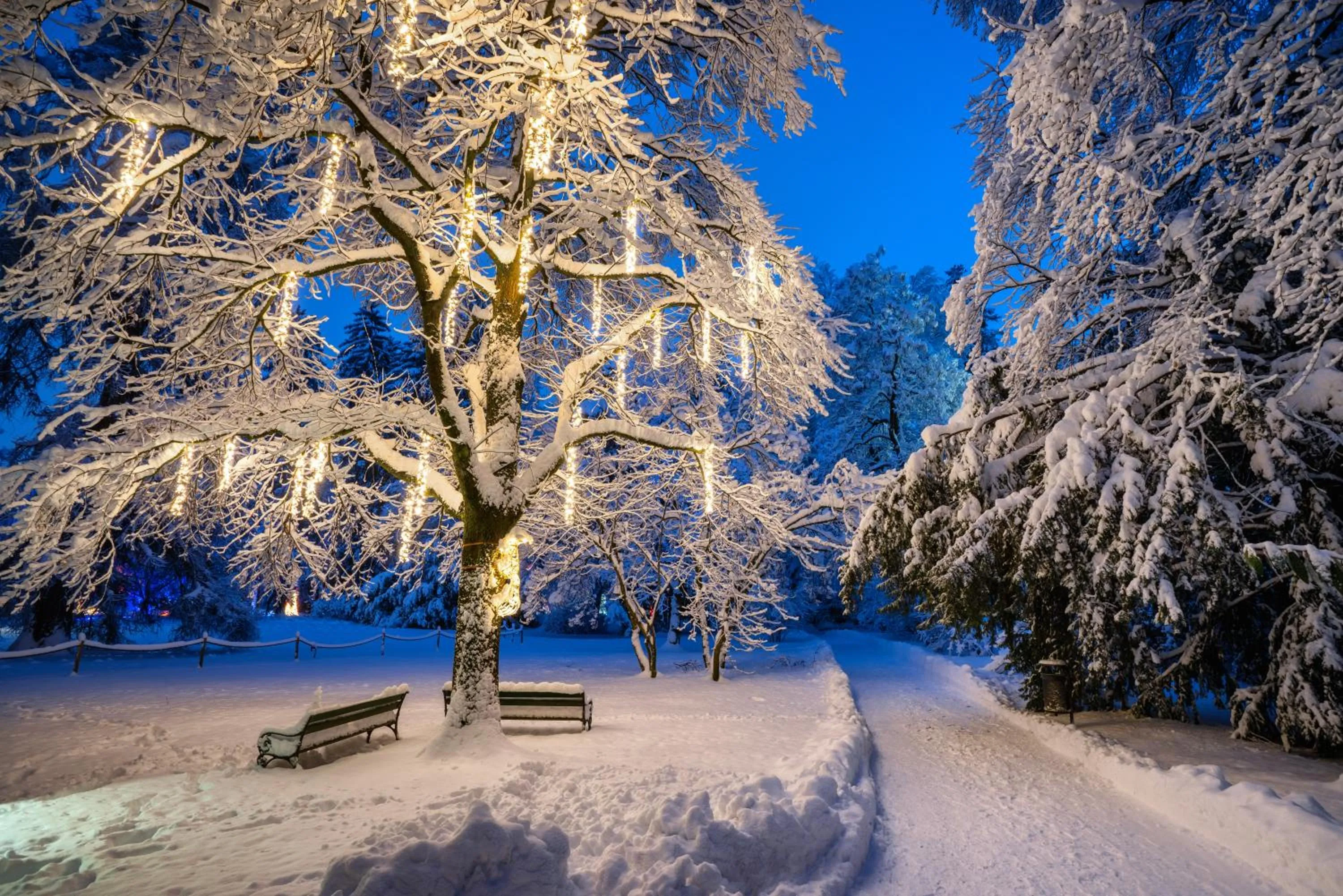 Natural landscape in Hotel Garni Löwen