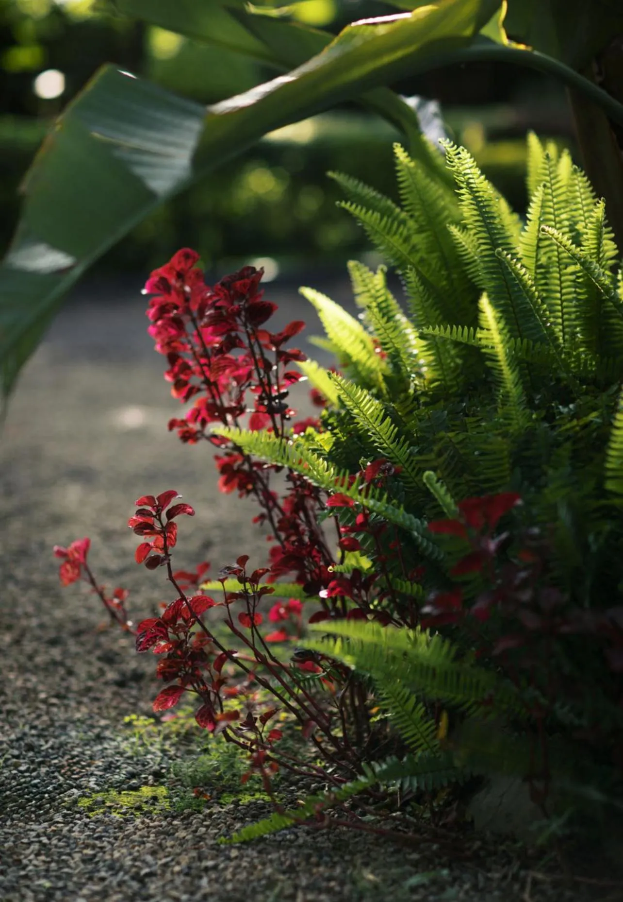 Tulia Retreat Hotel and Spa