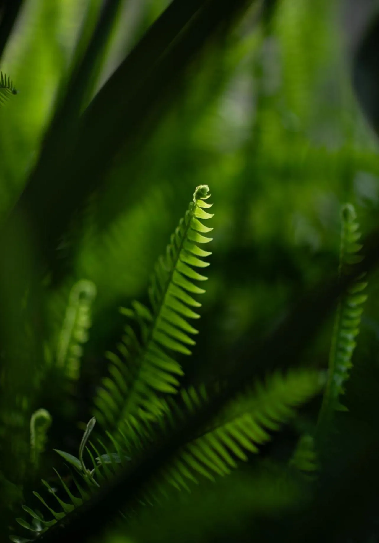 Tulia Retreat Hotel and Spa