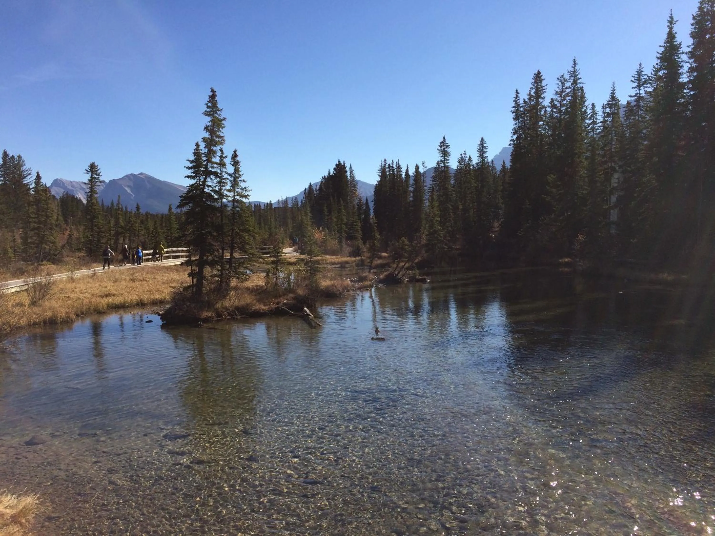 Natural landscape in Apartment 407, Contemporary Decor