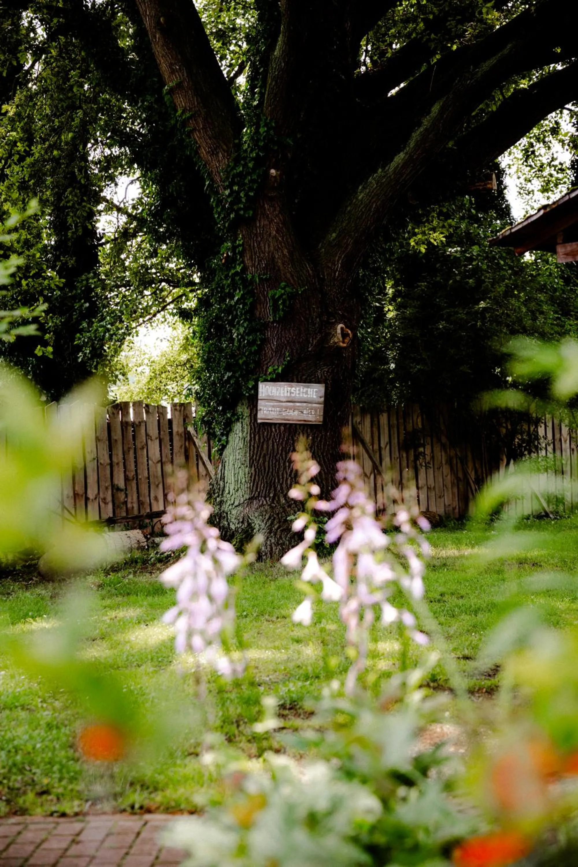 Garden in Hotel Kolonieschänke