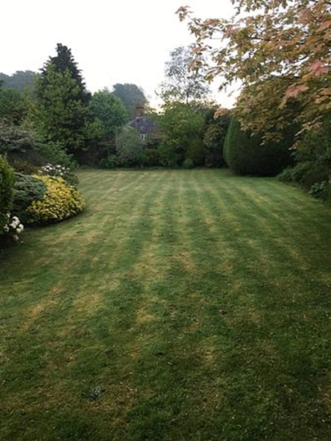 Garden in The Three Lions