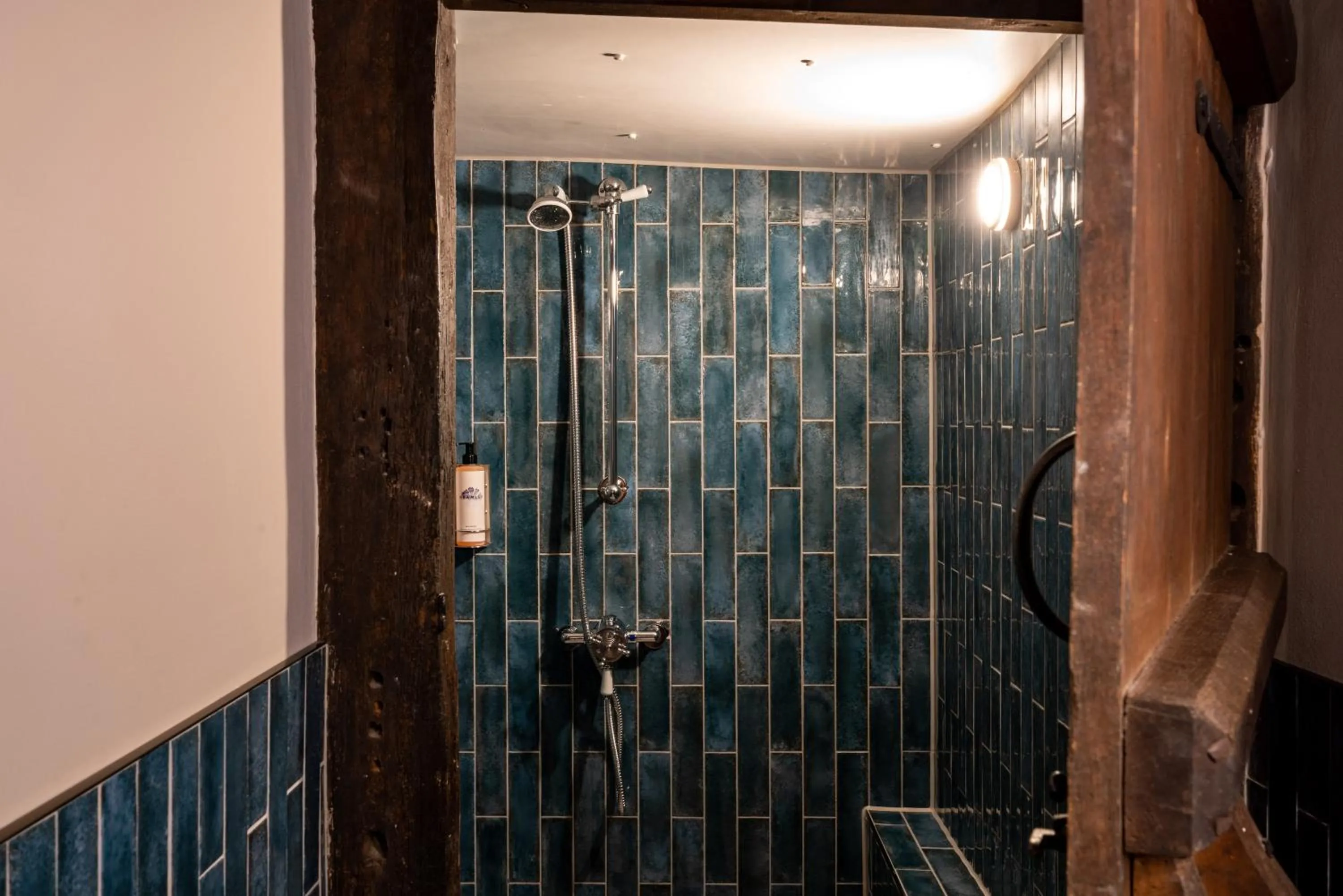 Shower in The George Inn & Plaine