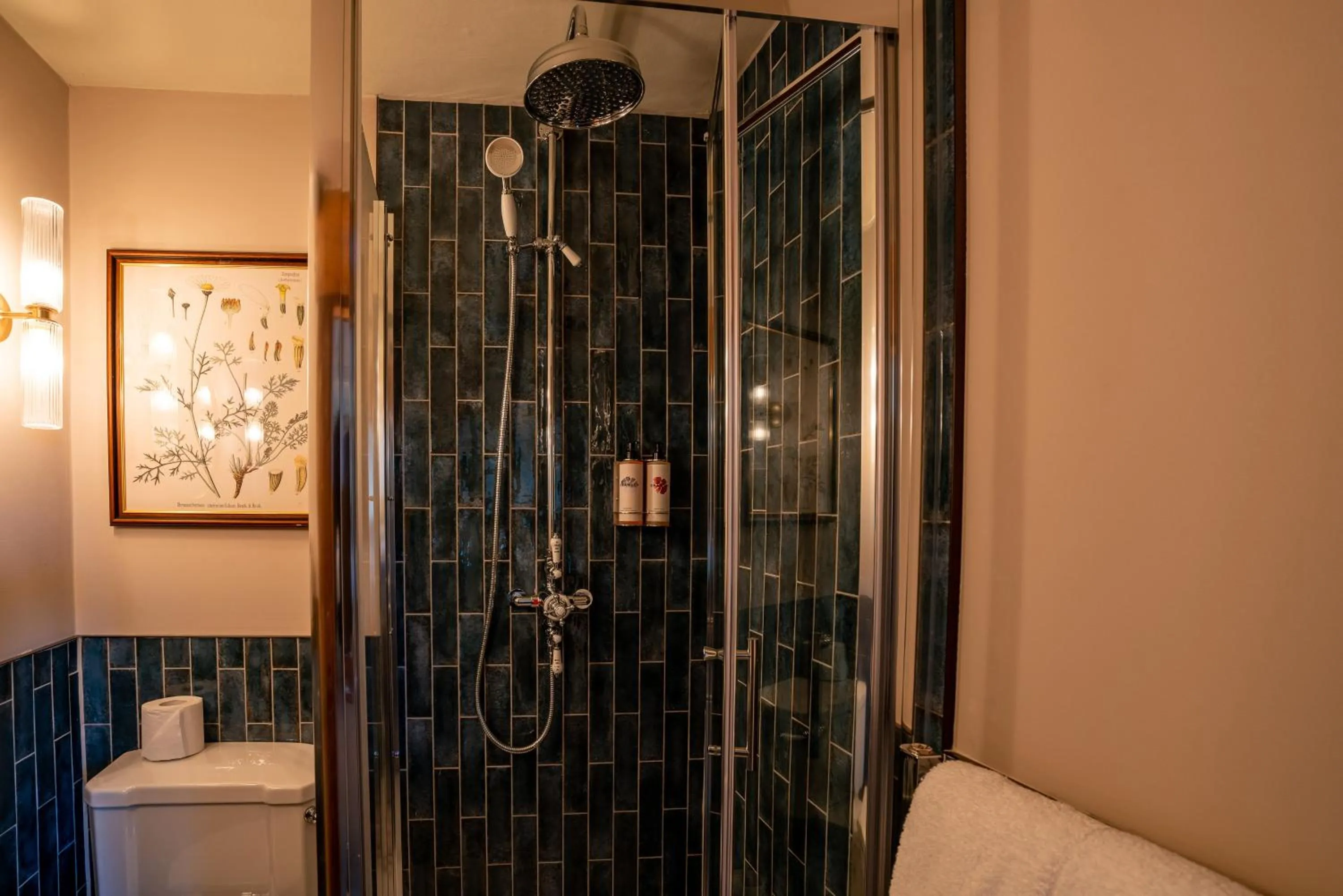 Shower in The George Inn & Plaine