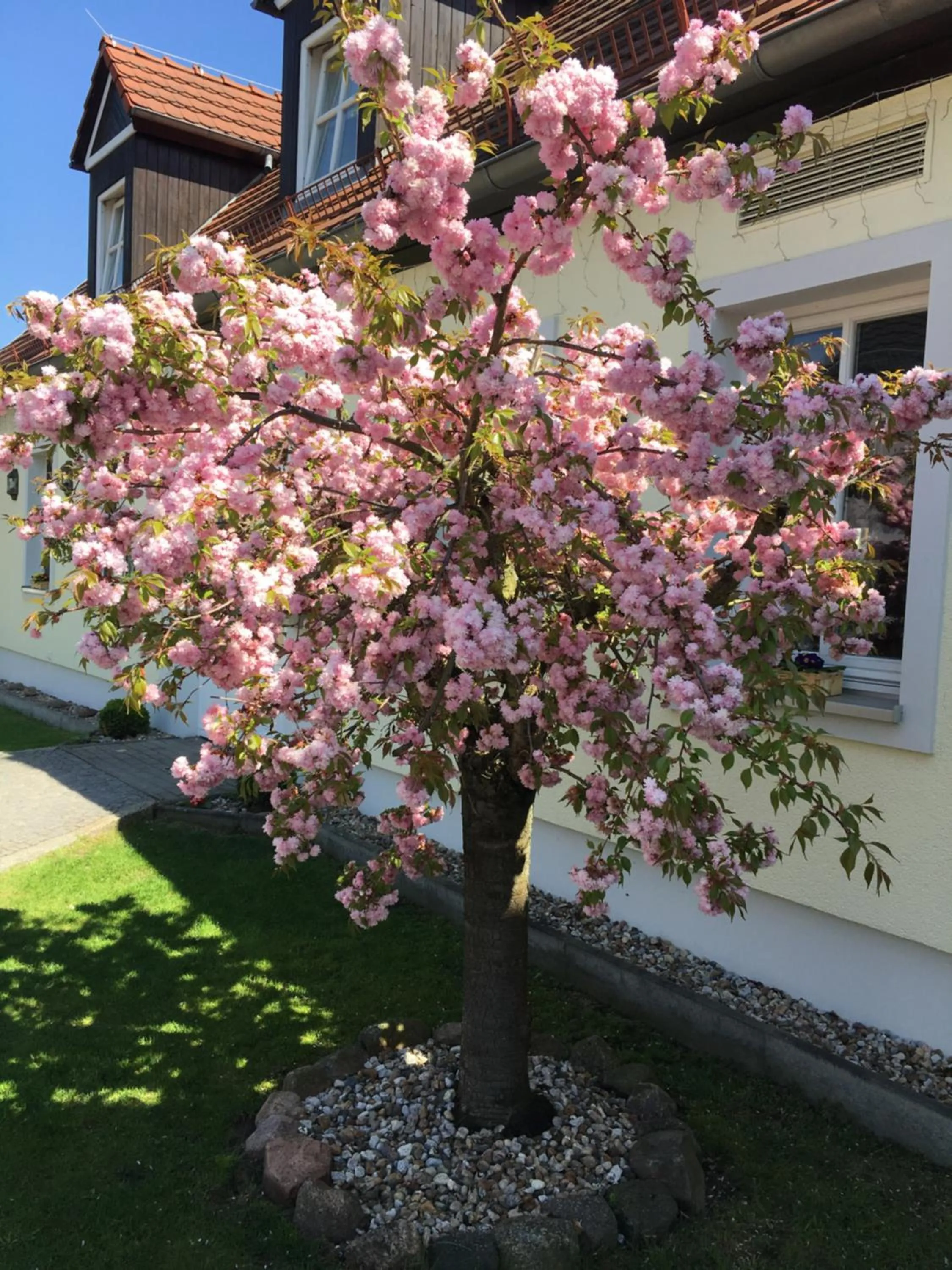 Property building in Hotel Prinz Albrecht