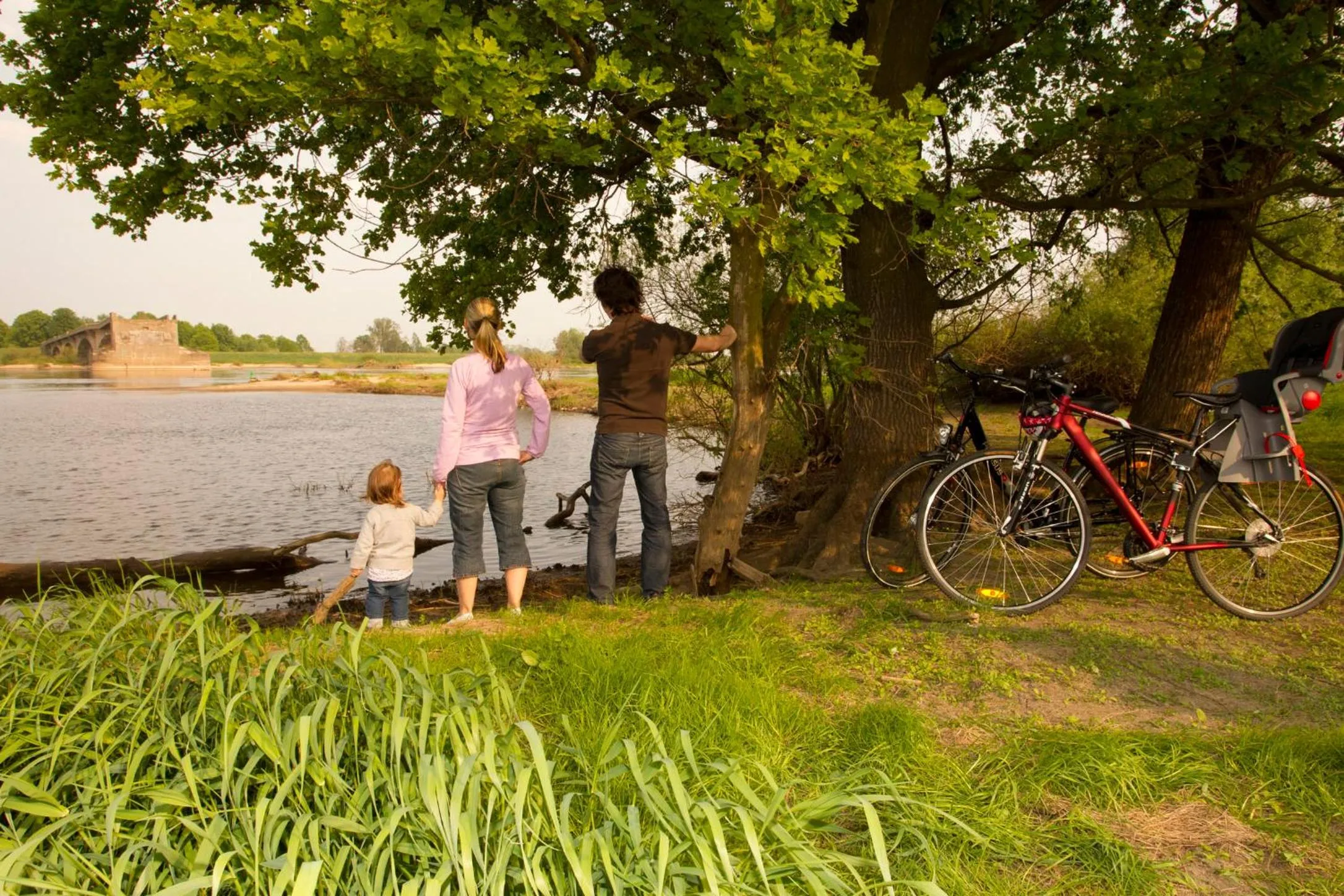 Area and facilities in Hotel Prinz Albrecht