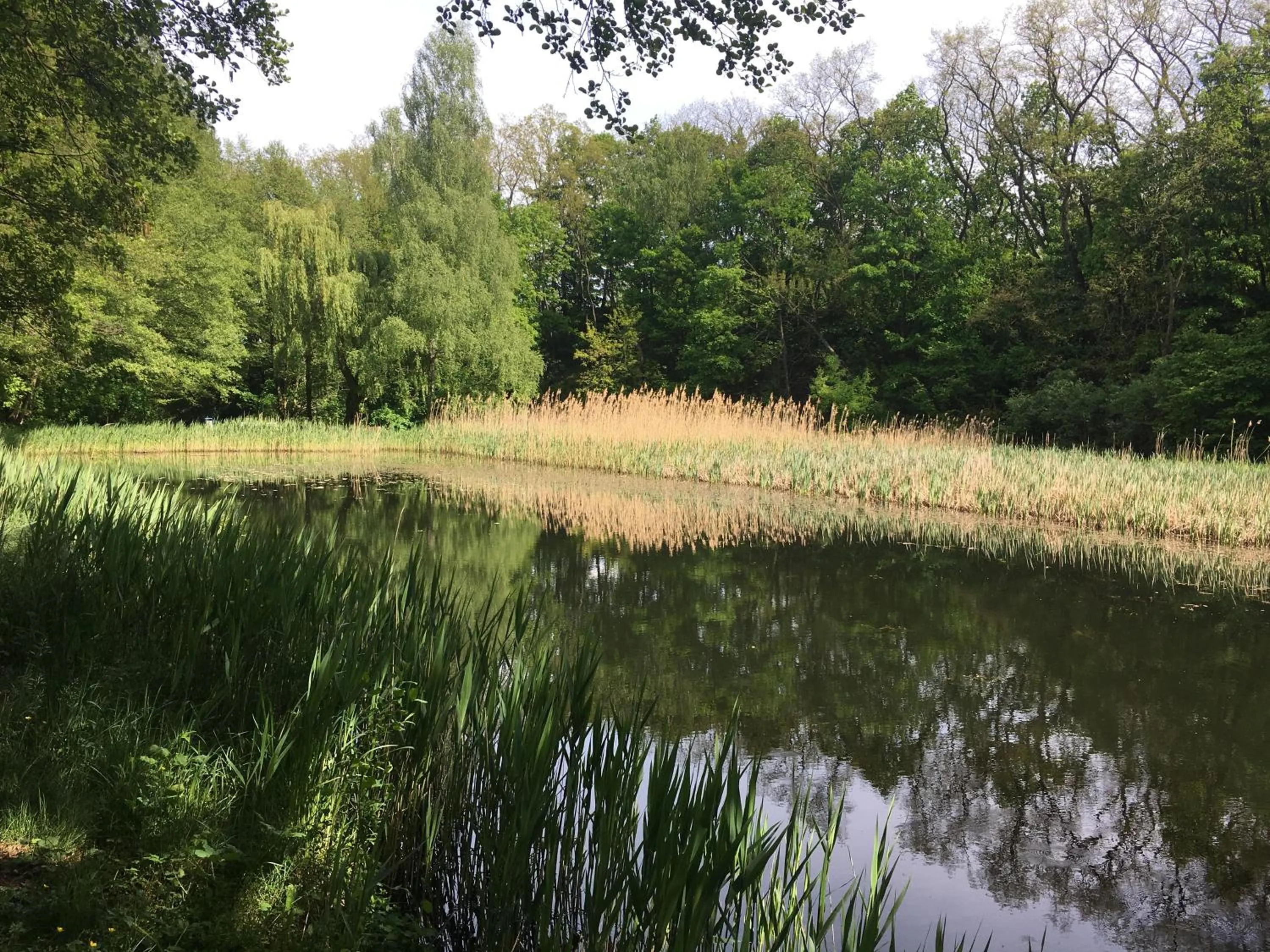 Spring in Hotel Prinz Albrecht