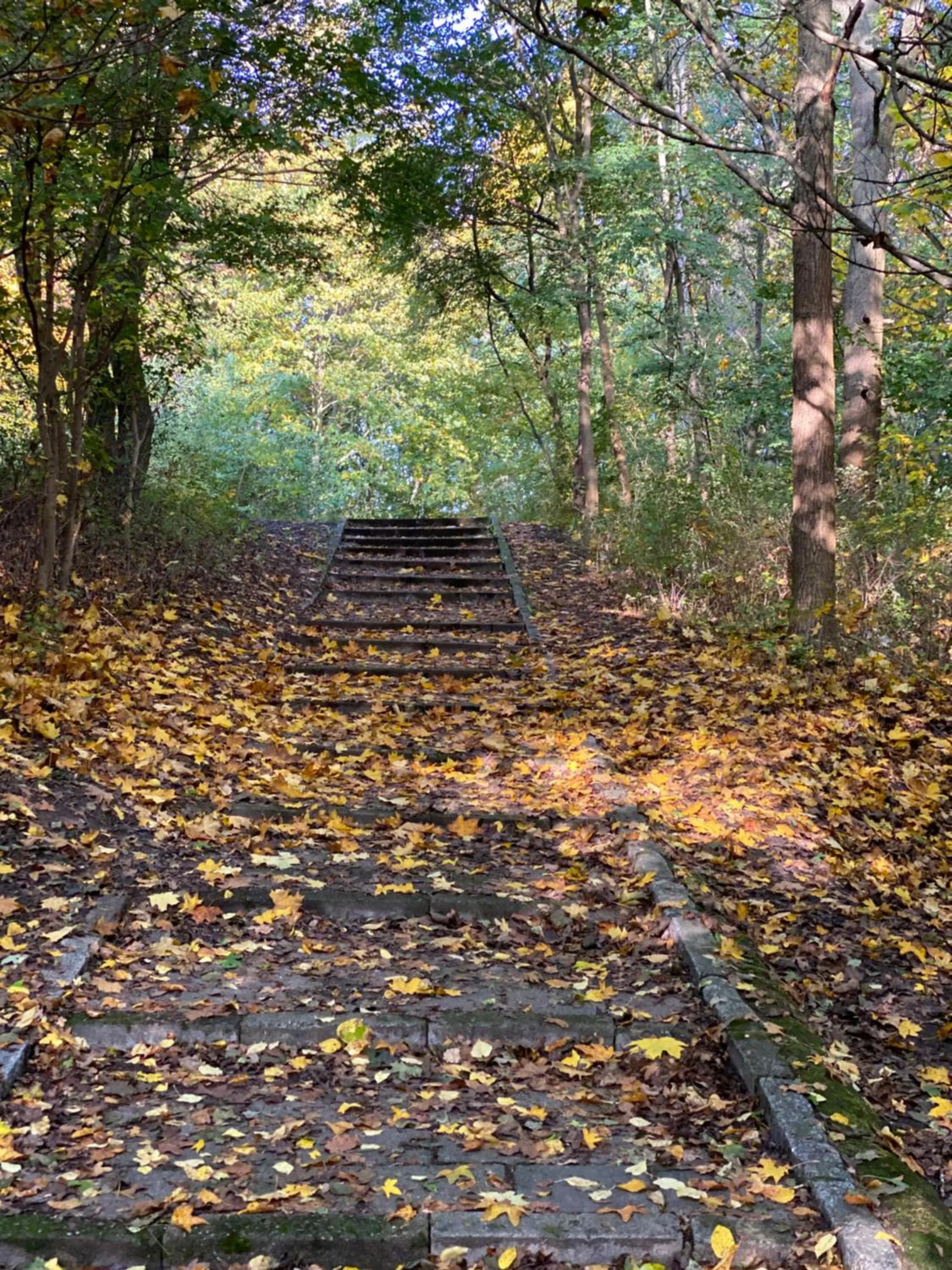 Hiking in Hotel Prinz Albrecht