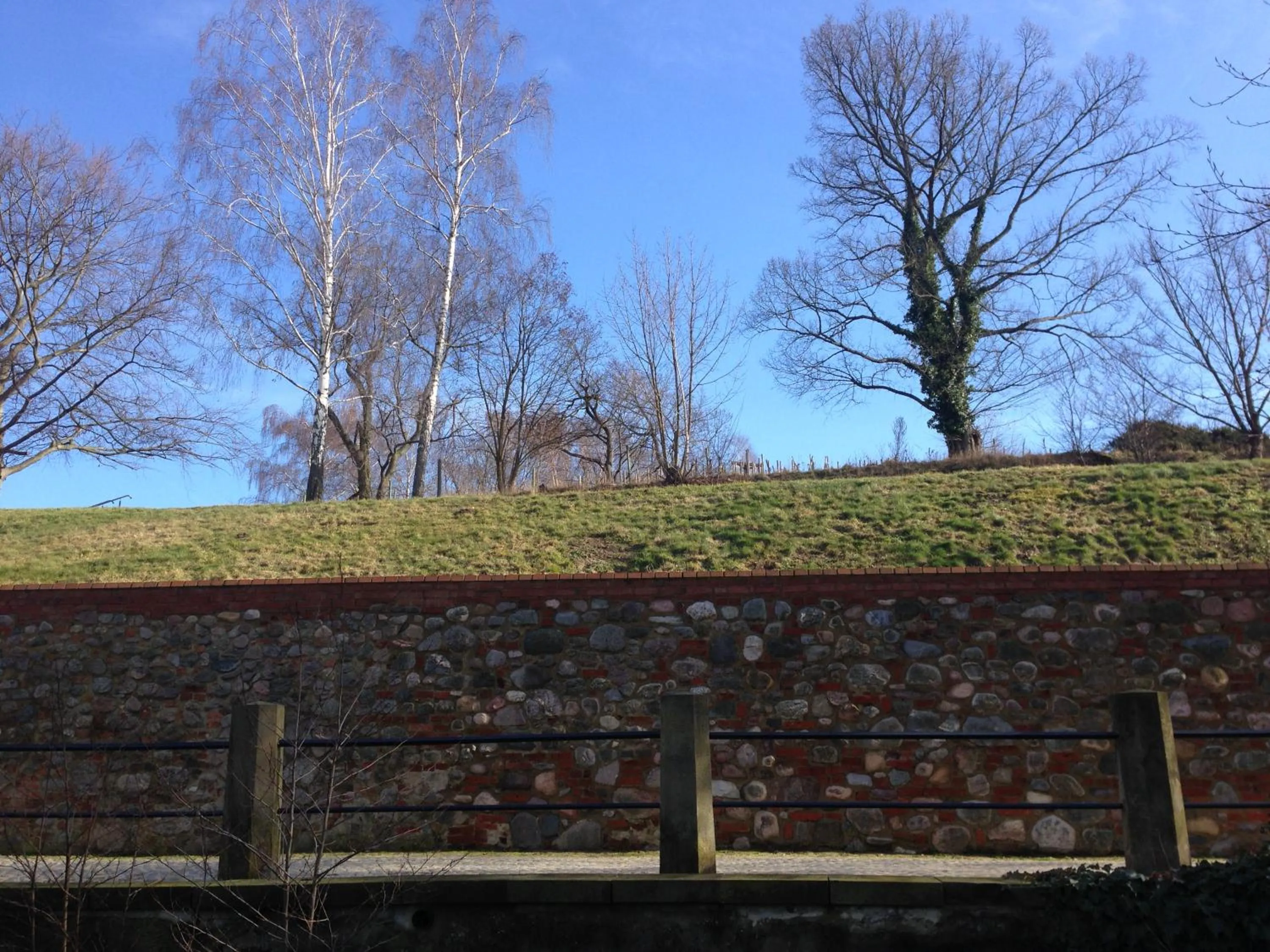 Natural landscape in Hotel Prinz Albrecht