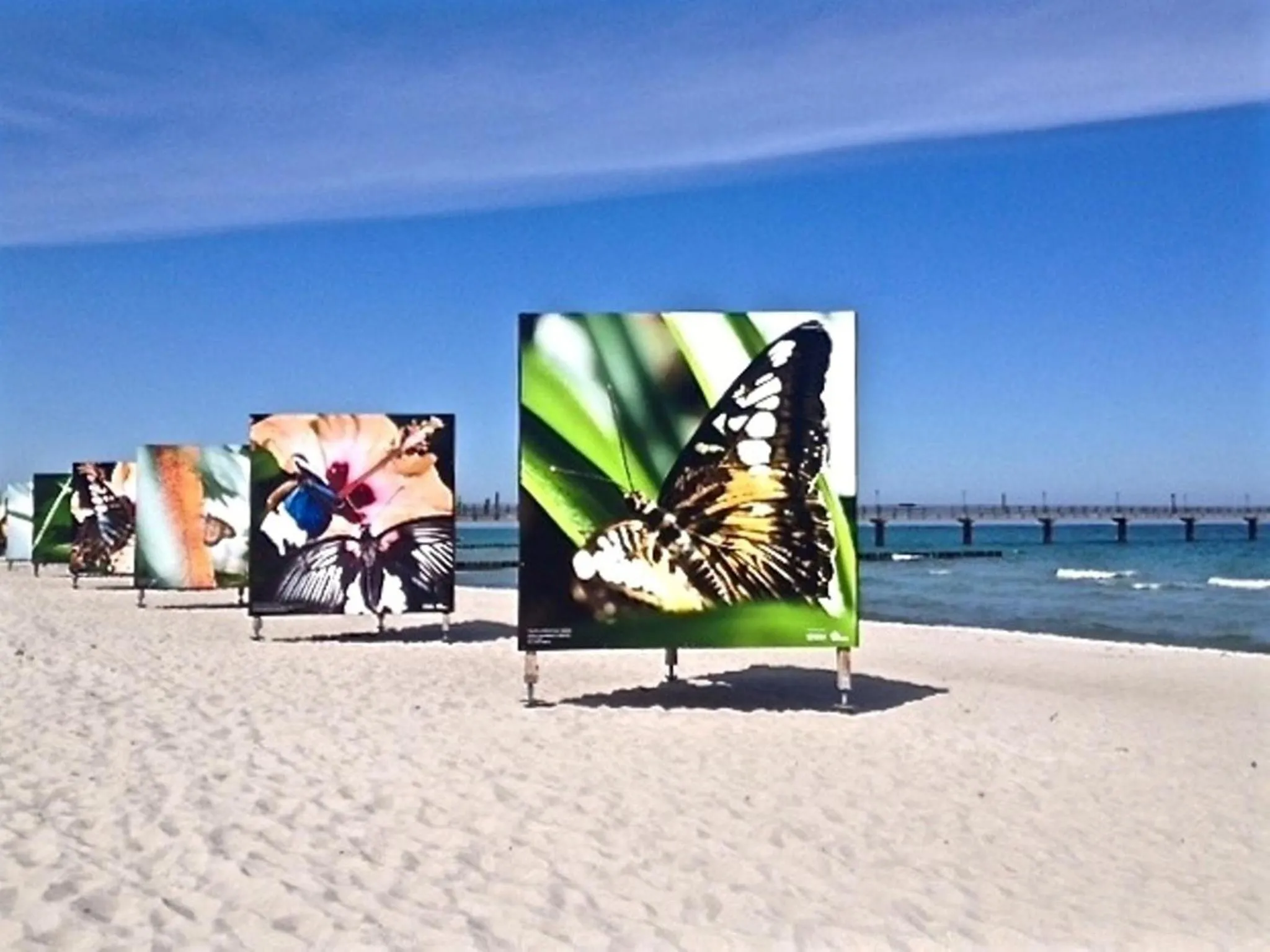 Beach in Neue Reihe 28 - Wohnung Kleine Auszeit