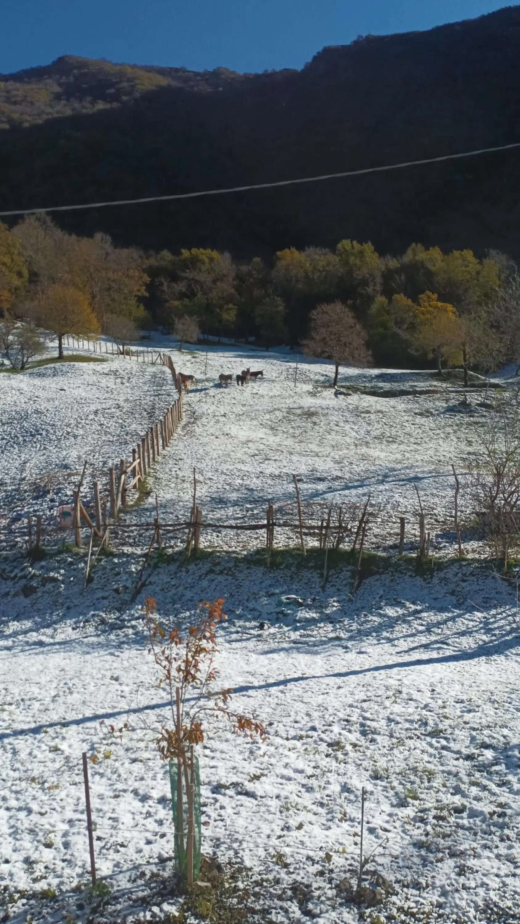 Natural landscape in B&B La Corte del Segrino