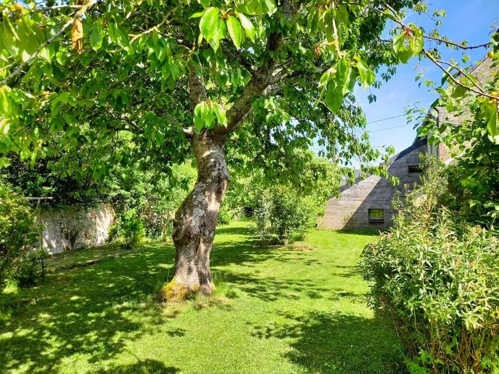 Heritage stone house BnB with Gourmet Breakfast - Chambres d'hôtes de charme entre Bayeux et les plages du débarquement