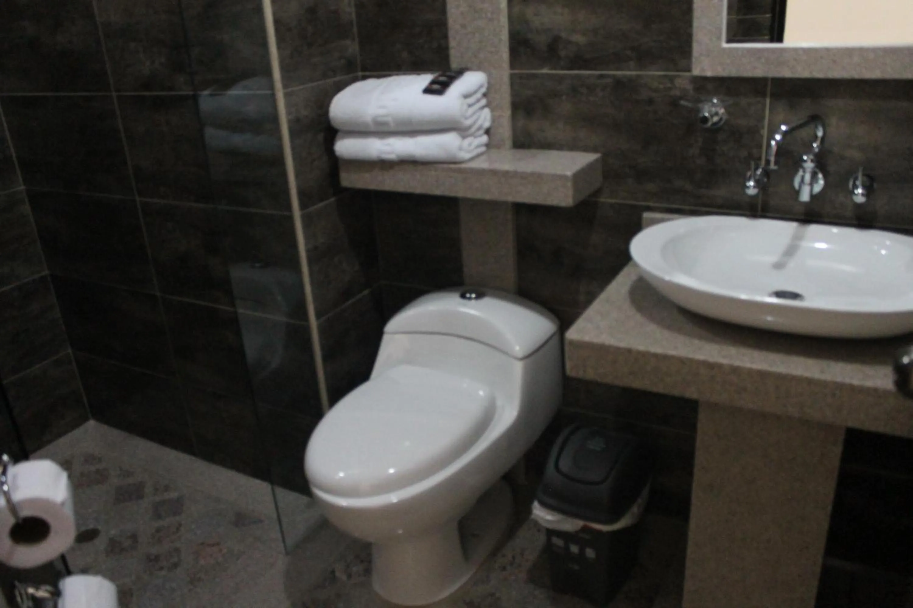 Toilet in Hoteles Bogotá Inn Lago Chico Zona Rosa