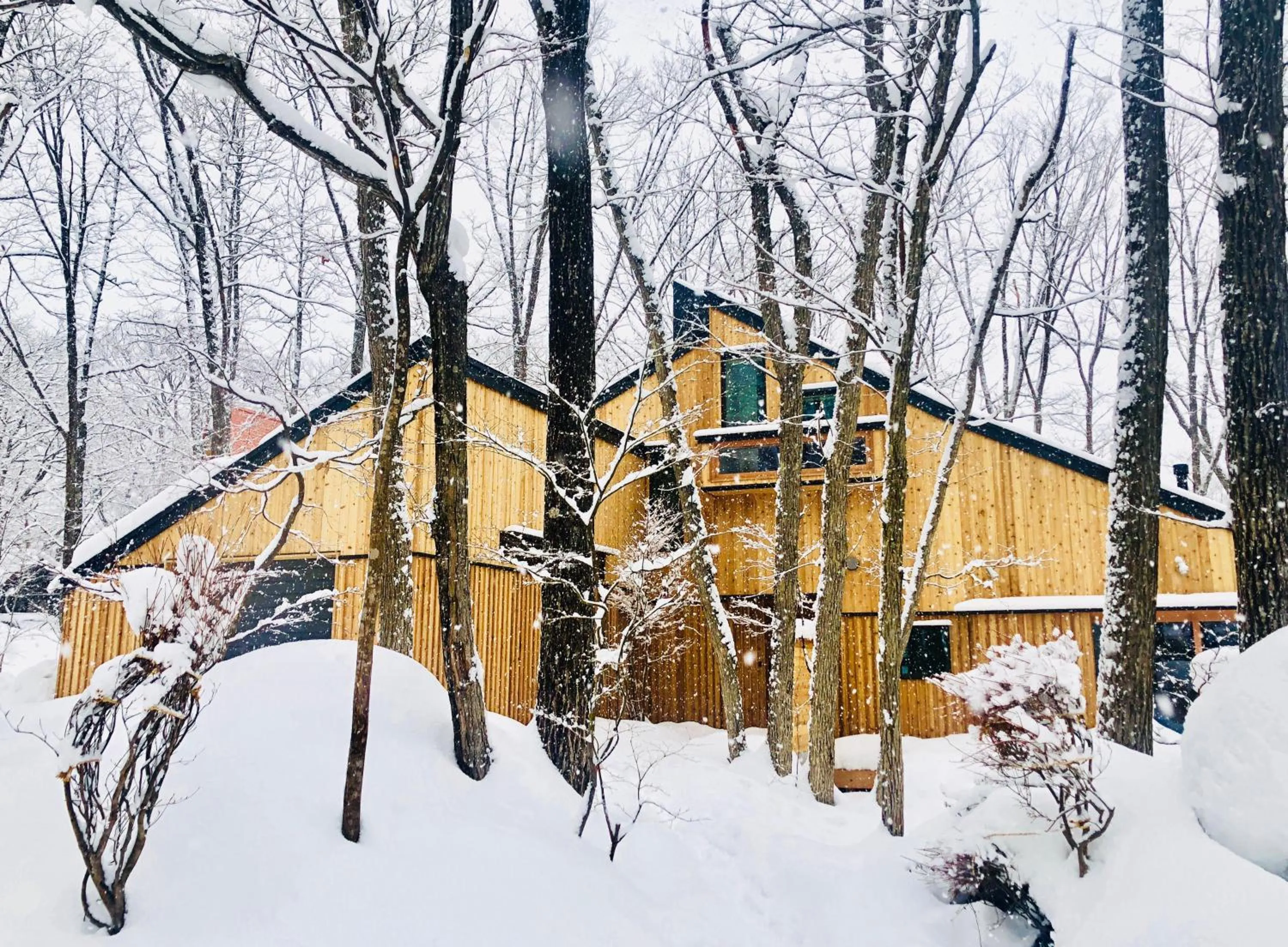 Property building in Asagiri Chalet Hakuba