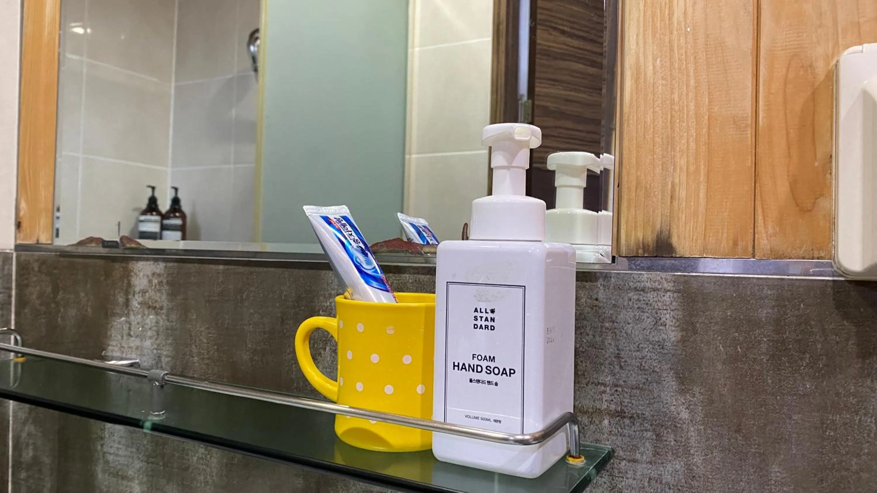 Bathroom in Backpacker's Home