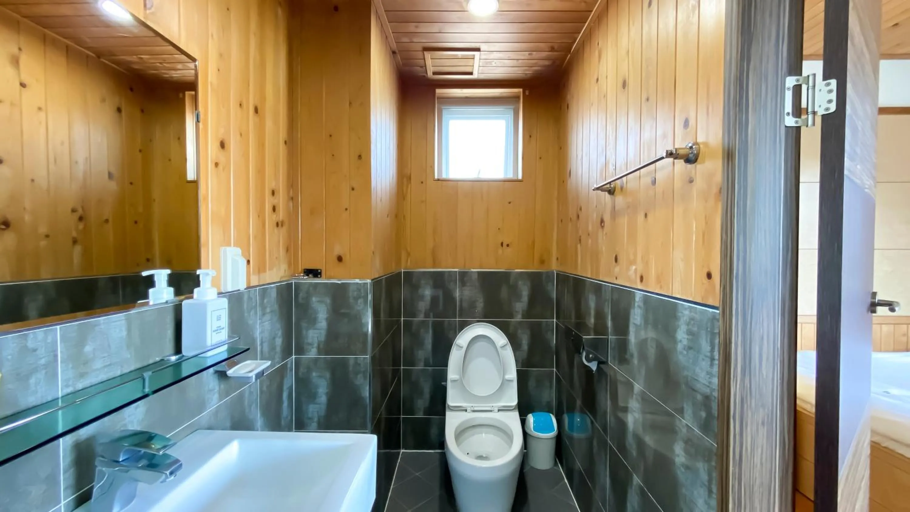 Toilet in Backpacker's Home