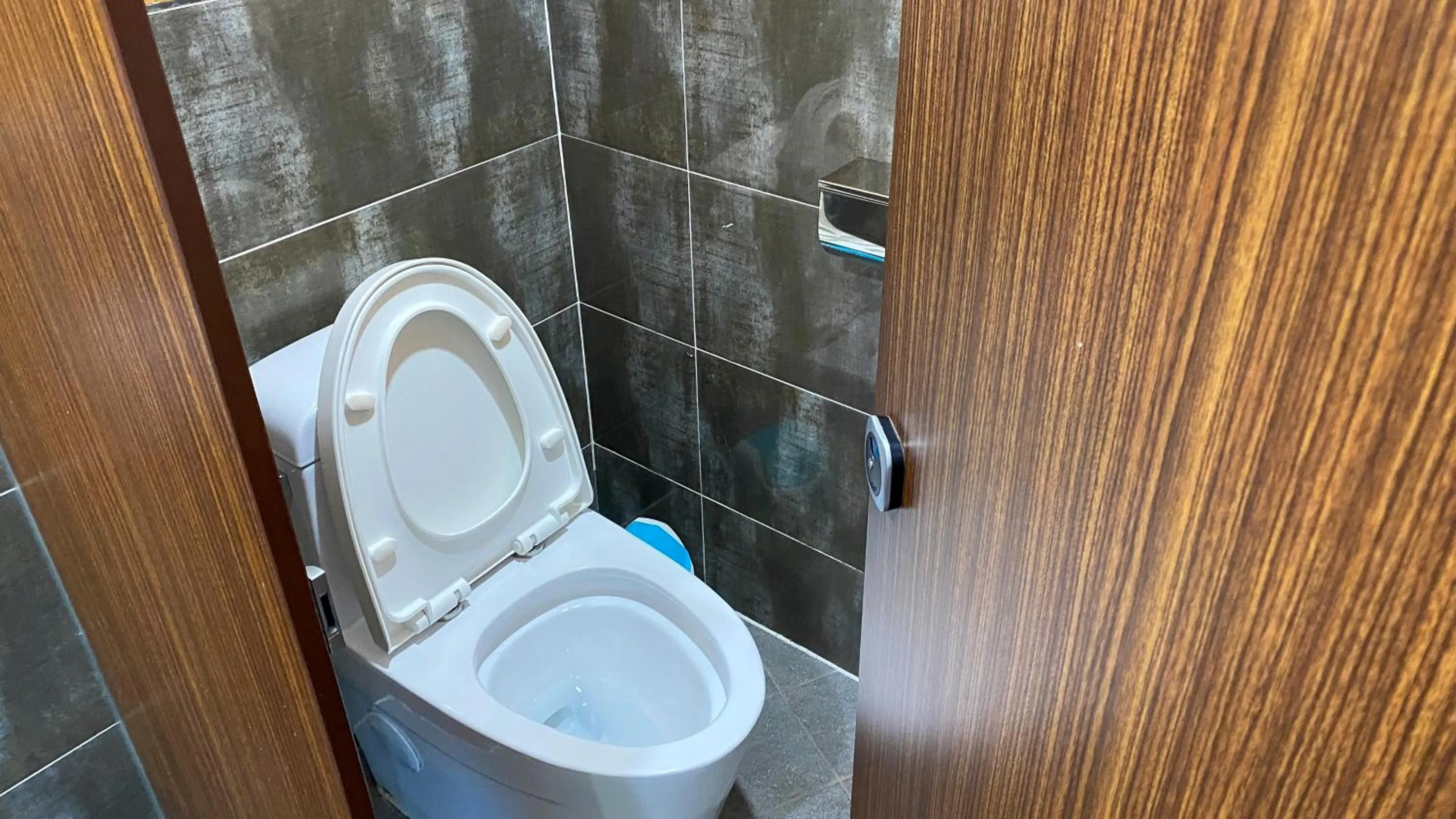 Toilet in Backpacker's Home