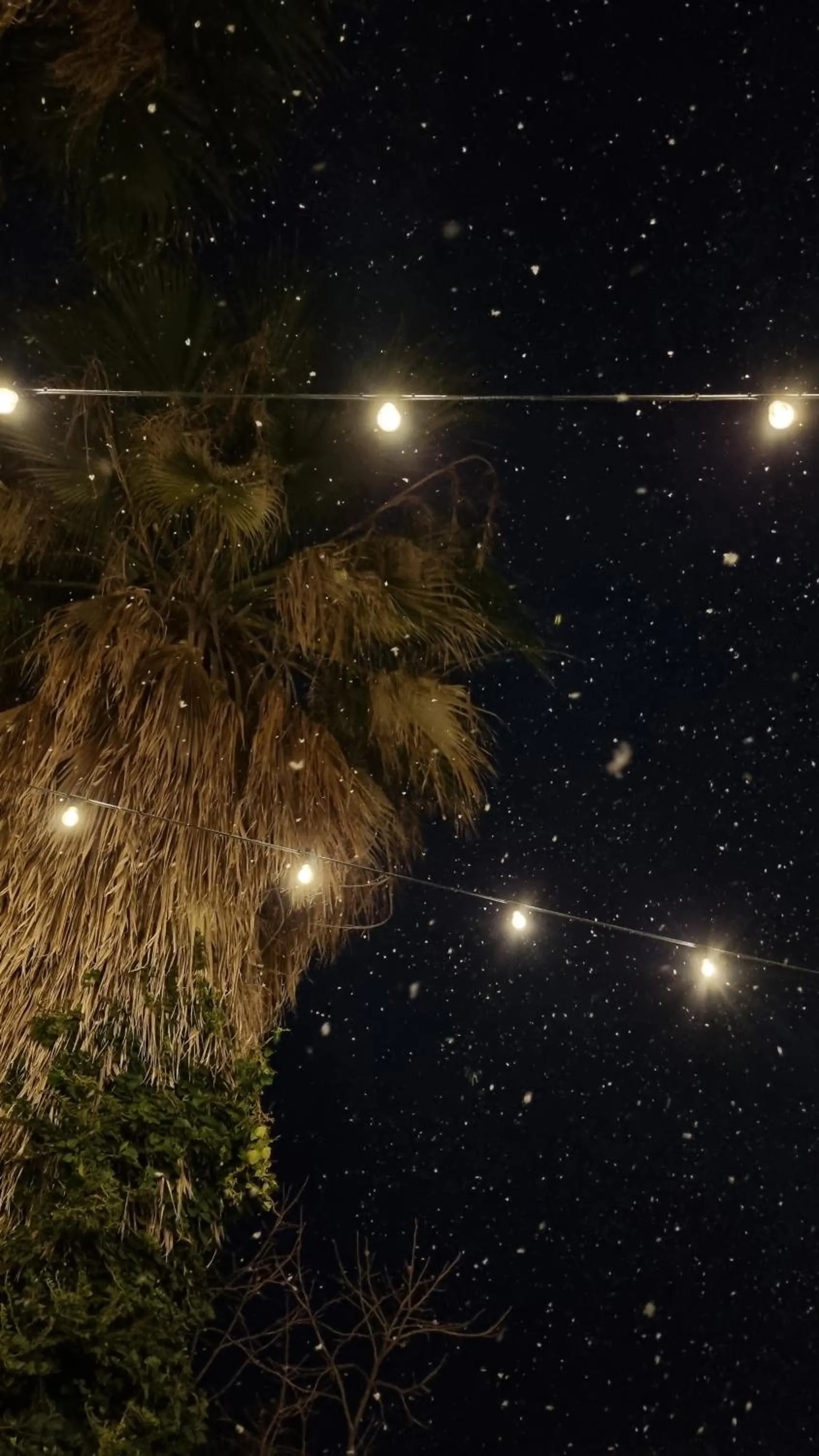 Night in Backpacker's Home