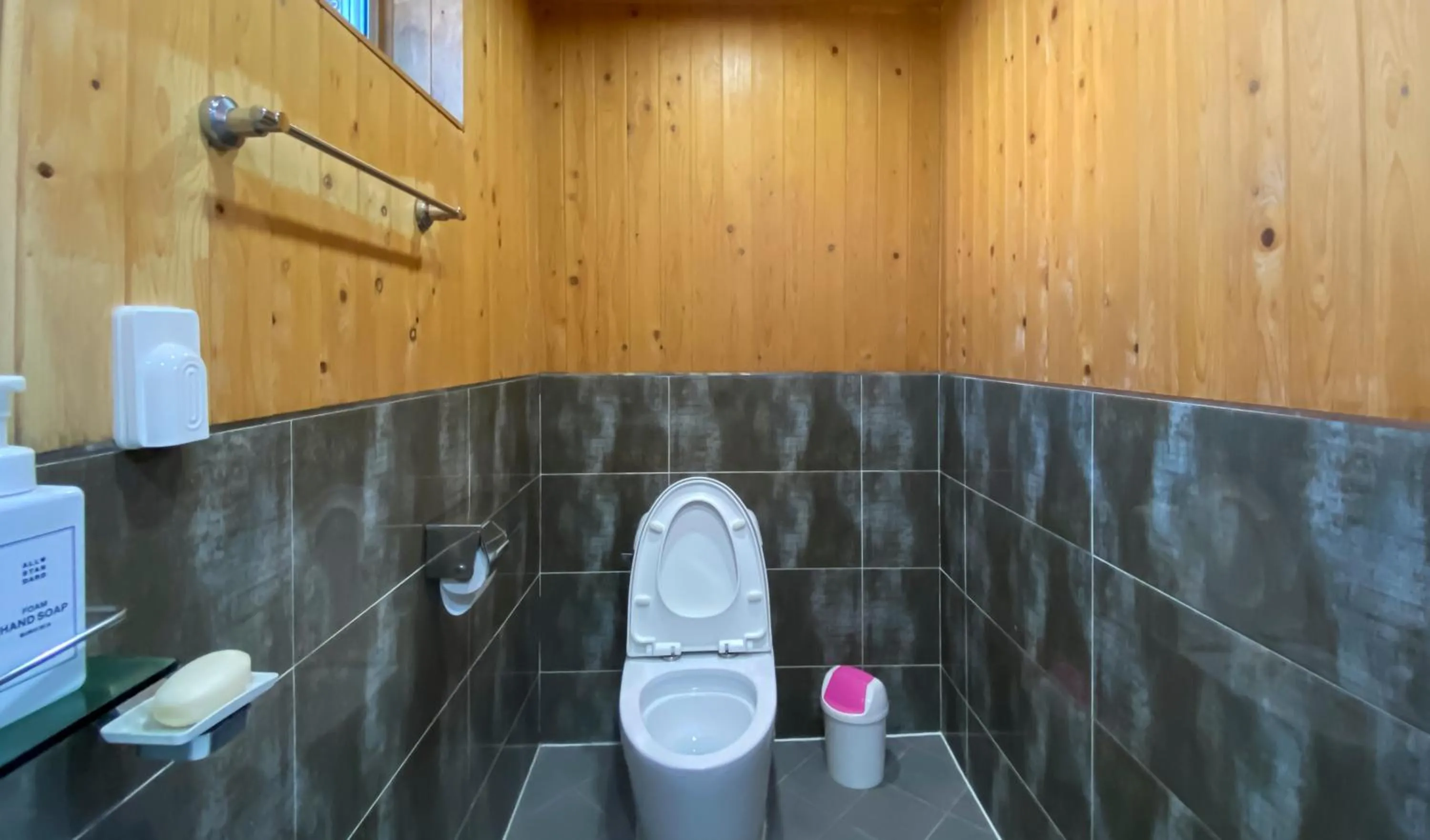 Toilet in Backpacker's Home
