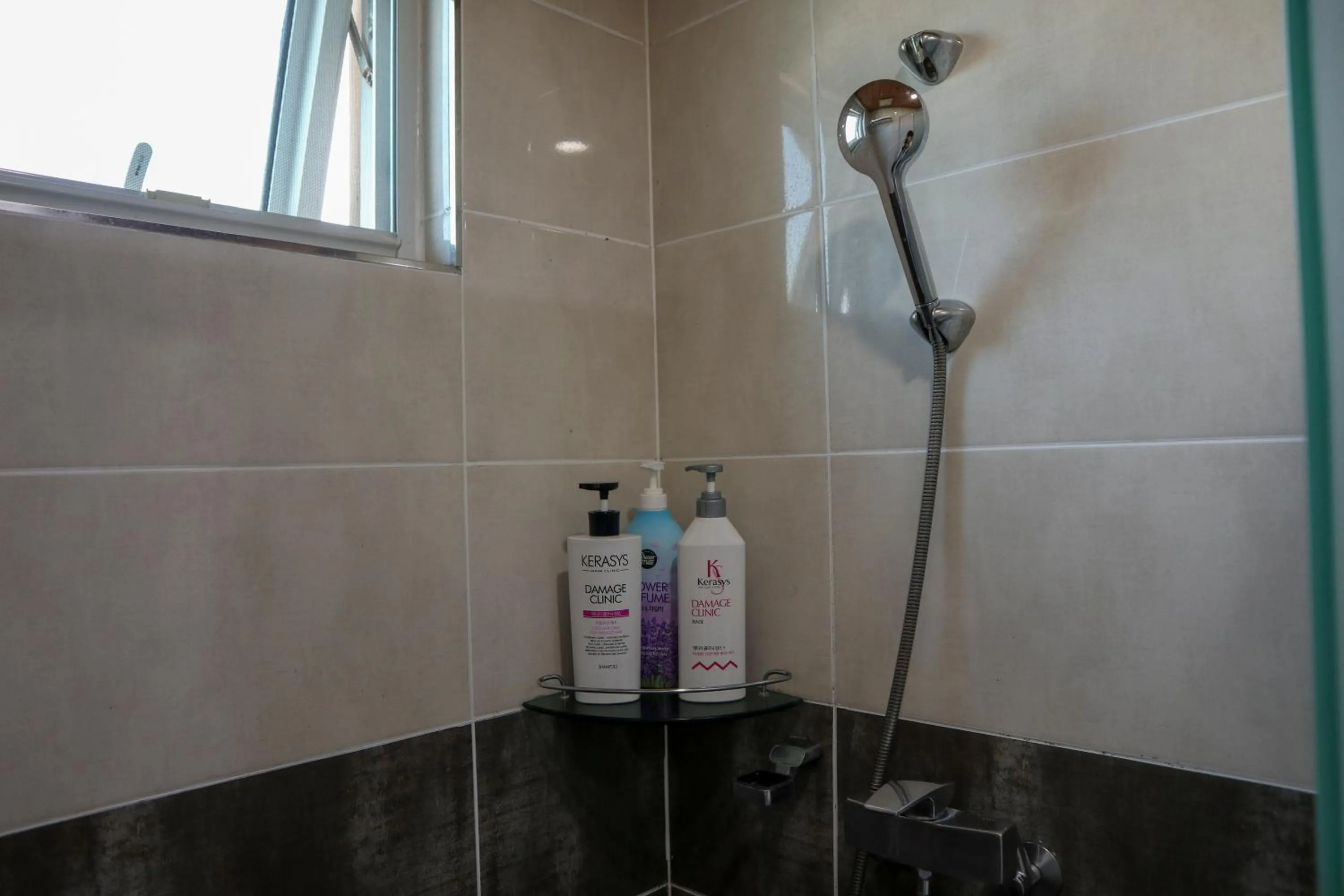 Toilet in Backpacker's Home