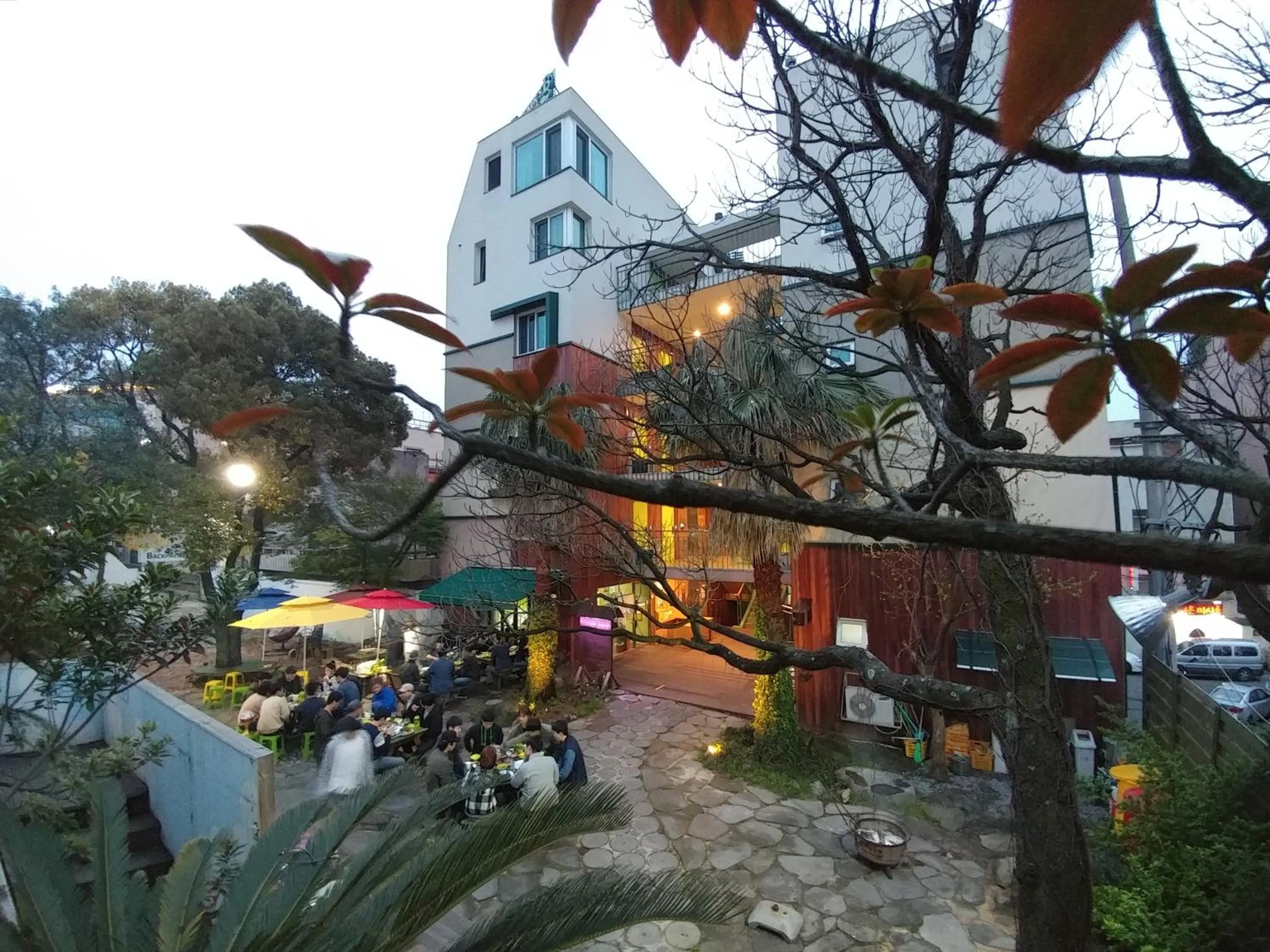 Garden in Backpacker's Home
