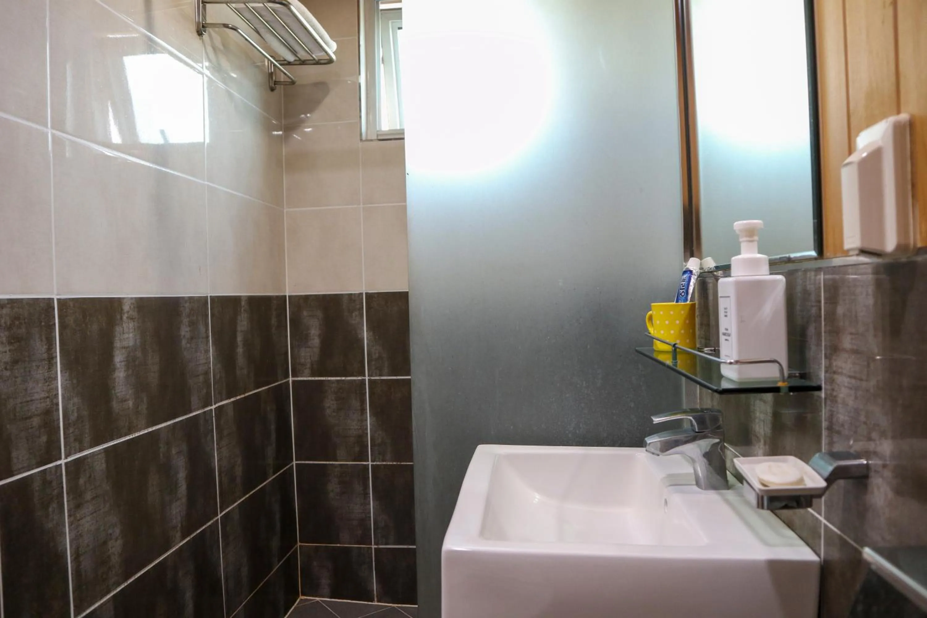 Toilet in Backpacker's Home