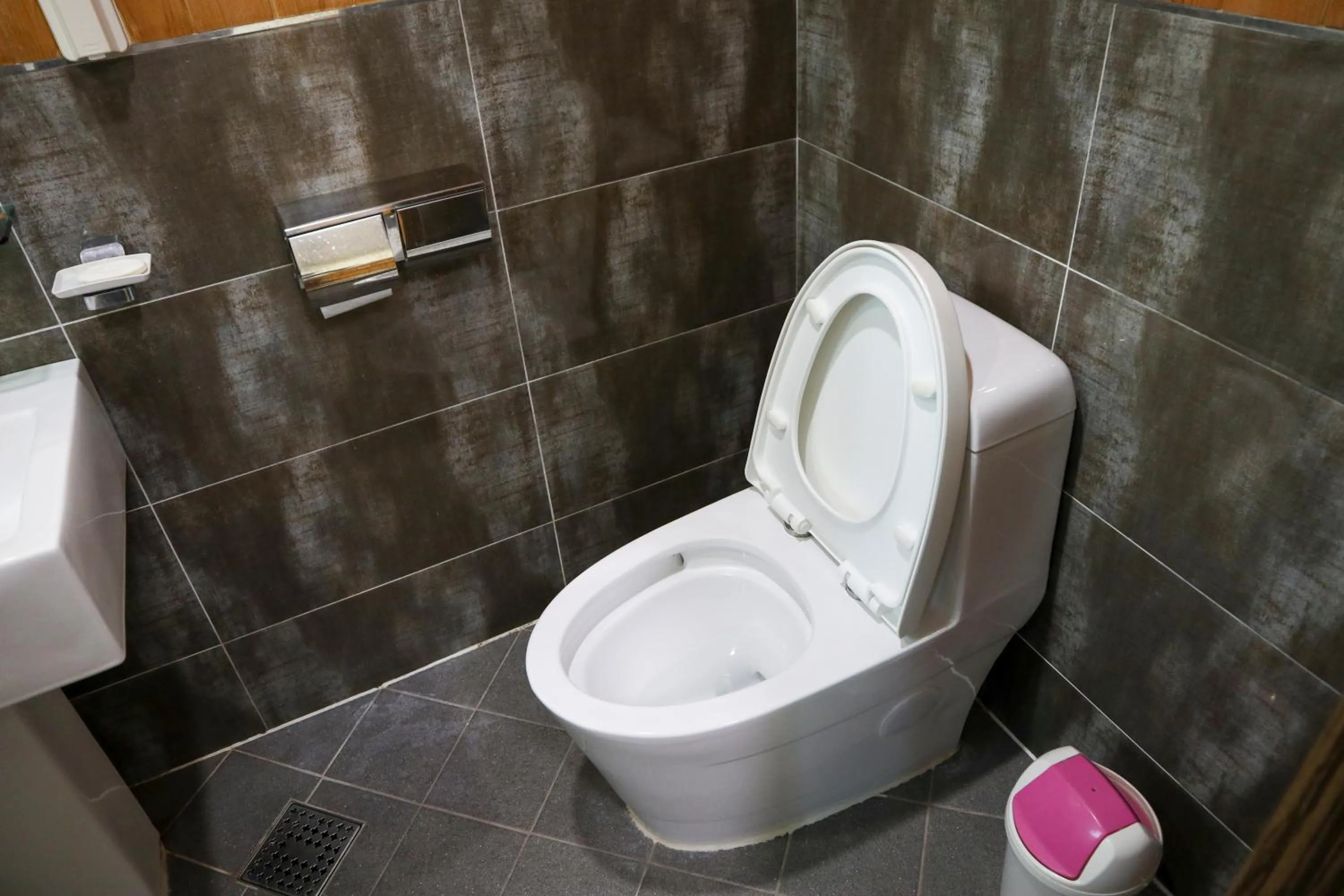 Toilet in Backpacker's Home