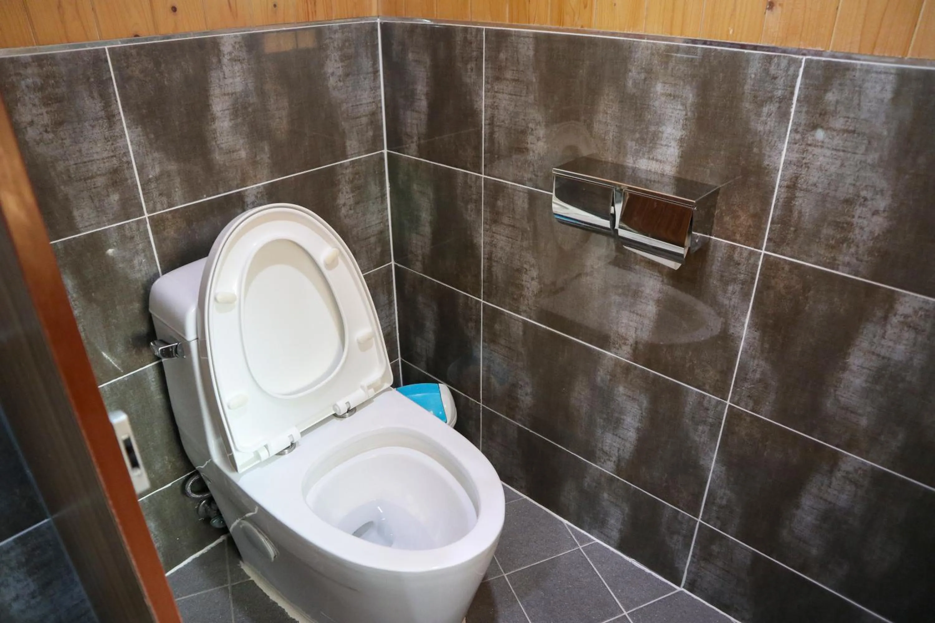 Toilet in Backpacker's Home