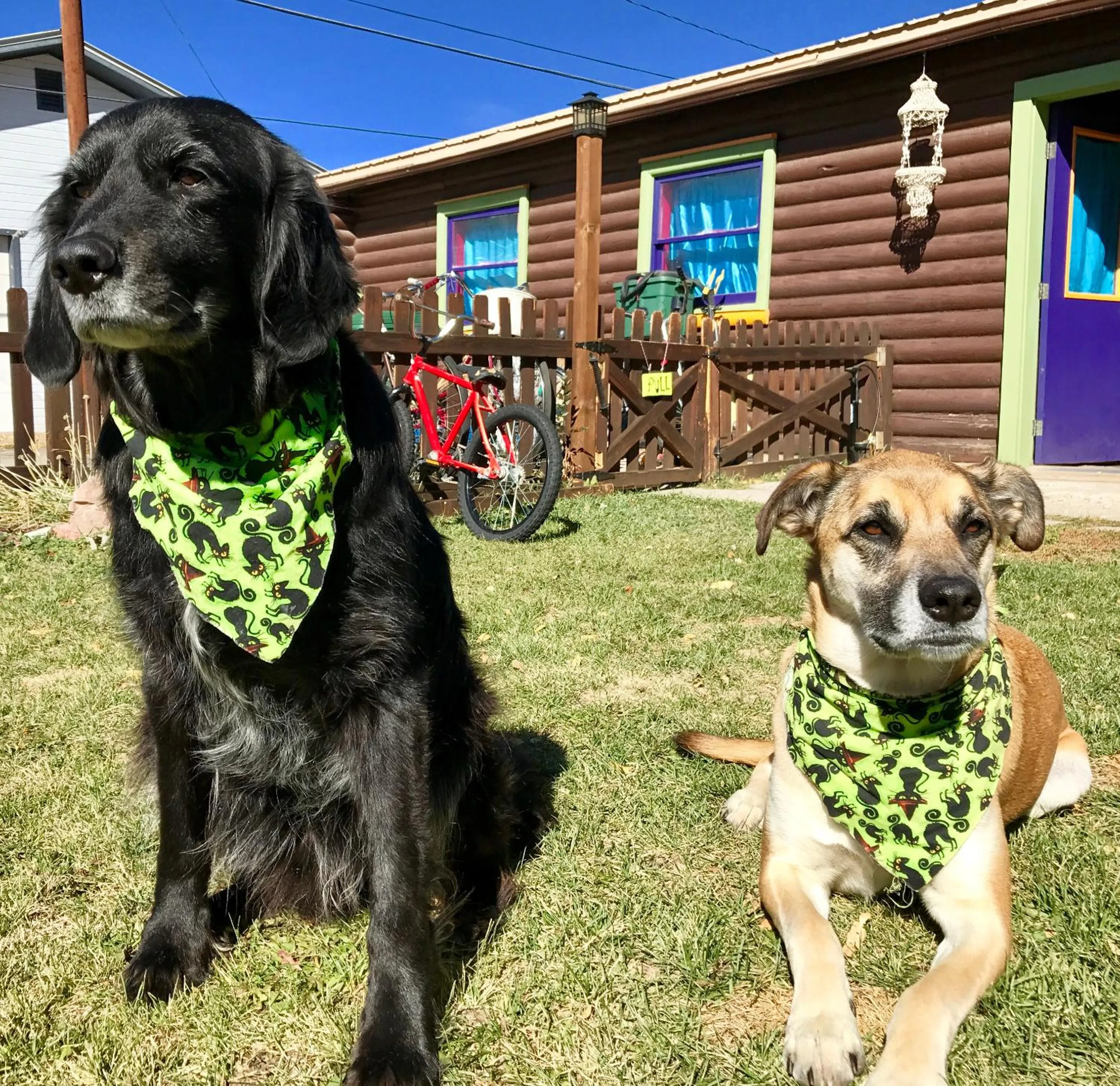 The Wanderlust Hostel