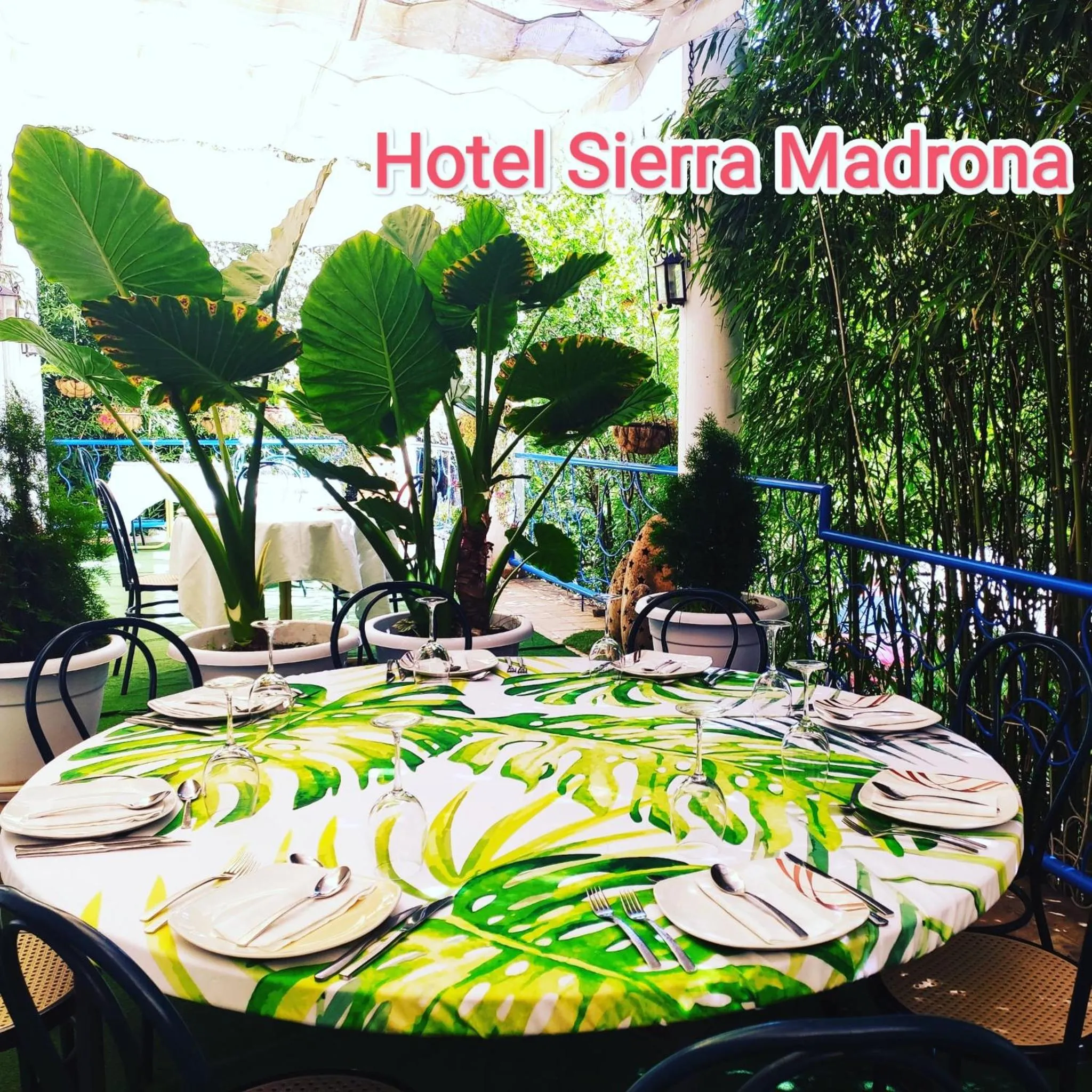 Restaurant/places to eat in Hotel Sierra Madrona